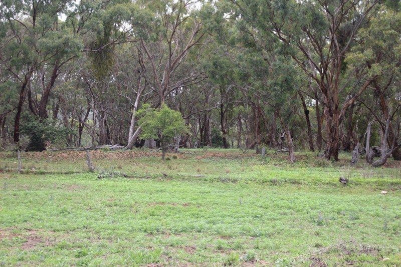 1825 Rockley Road, Bathurst NSW 2795, Bathurst - Thumbnail 2