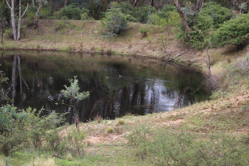 1825 Rockley Road, Bathurst NSW 2795, Bathurst - Thumbnail 6
