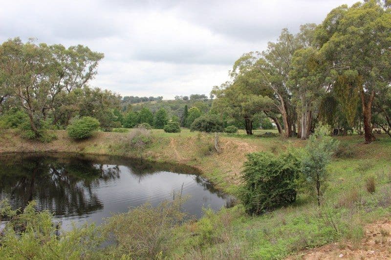 1825 Rockley Road, Bathurst NSW 2795, Bathurst - Thumbnail 8