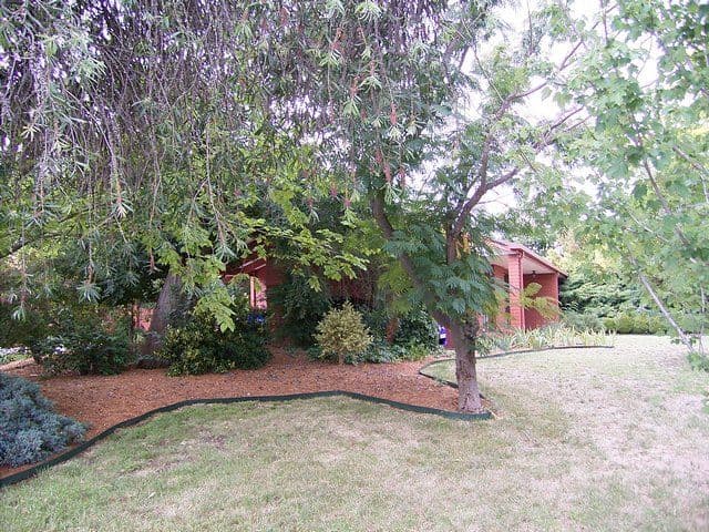 9 St Andrews Circuit, THURGOONA NSW 2640, Thurgoona - Thumbnail 2