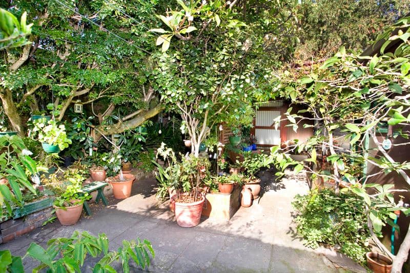 14 Napoleon Street, ROZELLE NSW 2039, Rozelle - Thumbnail 2