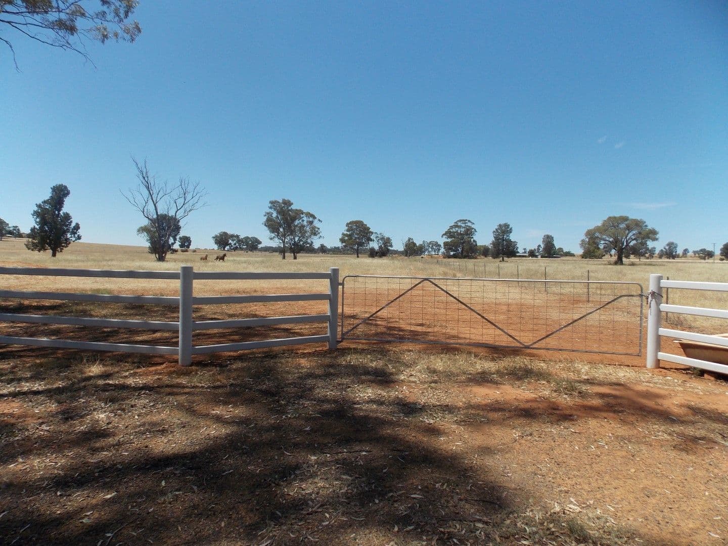 Lot 1 Condobolin Road, PARKES NSW 2870, Parkes - Image 1