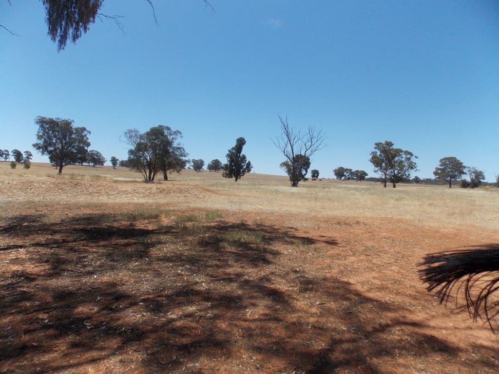 Lot 1 Condobolin Road, PARKES NSW 2870, Parkes - Thumbnail 2