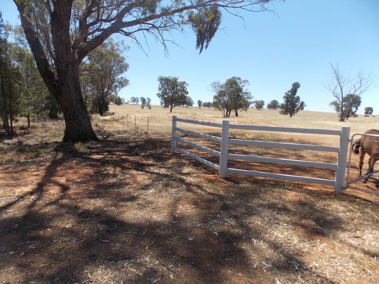 Lot 1 Condobolin Road, PARKES NSW 2870, Parkes - Thumbnail 3