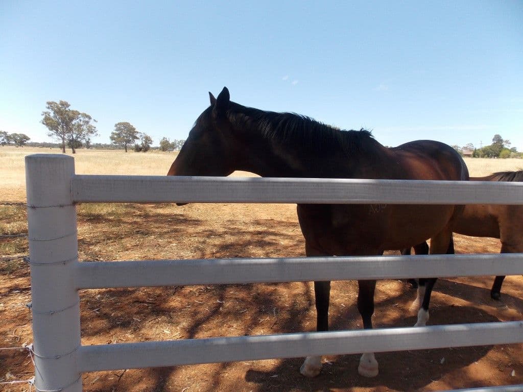 Lot 1 Condobolin Road, PARKES NSW 2870, Parkes - Thumbnail 4