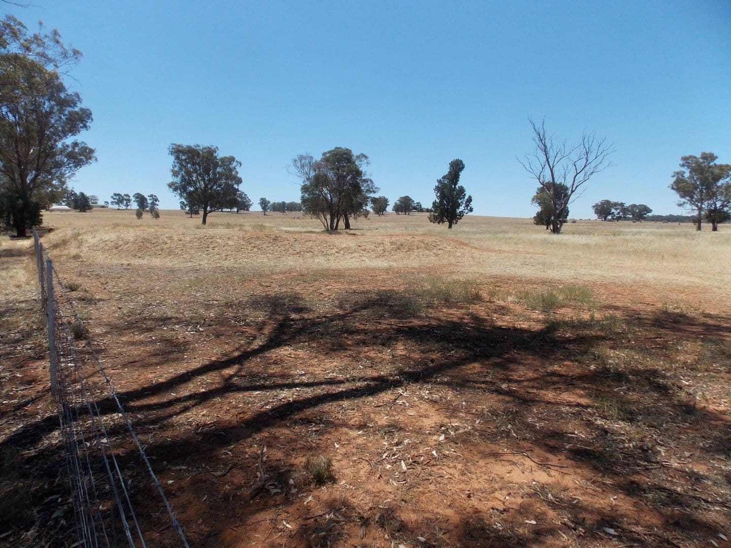 Lot 1 Condobolin Road, PARKES NSW 2870, Parkes - Thumbnail 5