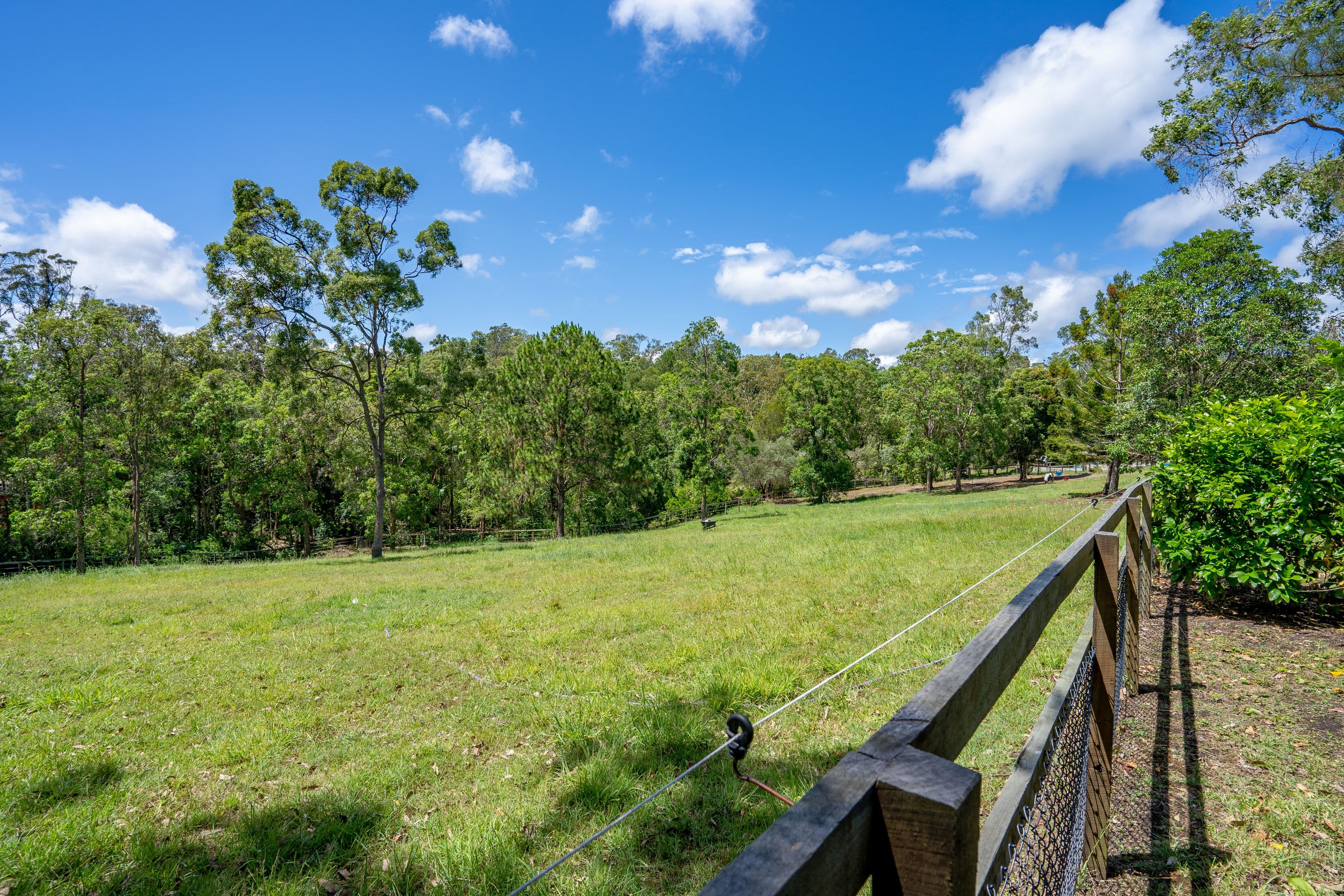 11 Vince Hinde Drive, Worongary QLD 4213, Worongary - Thumbnail 4