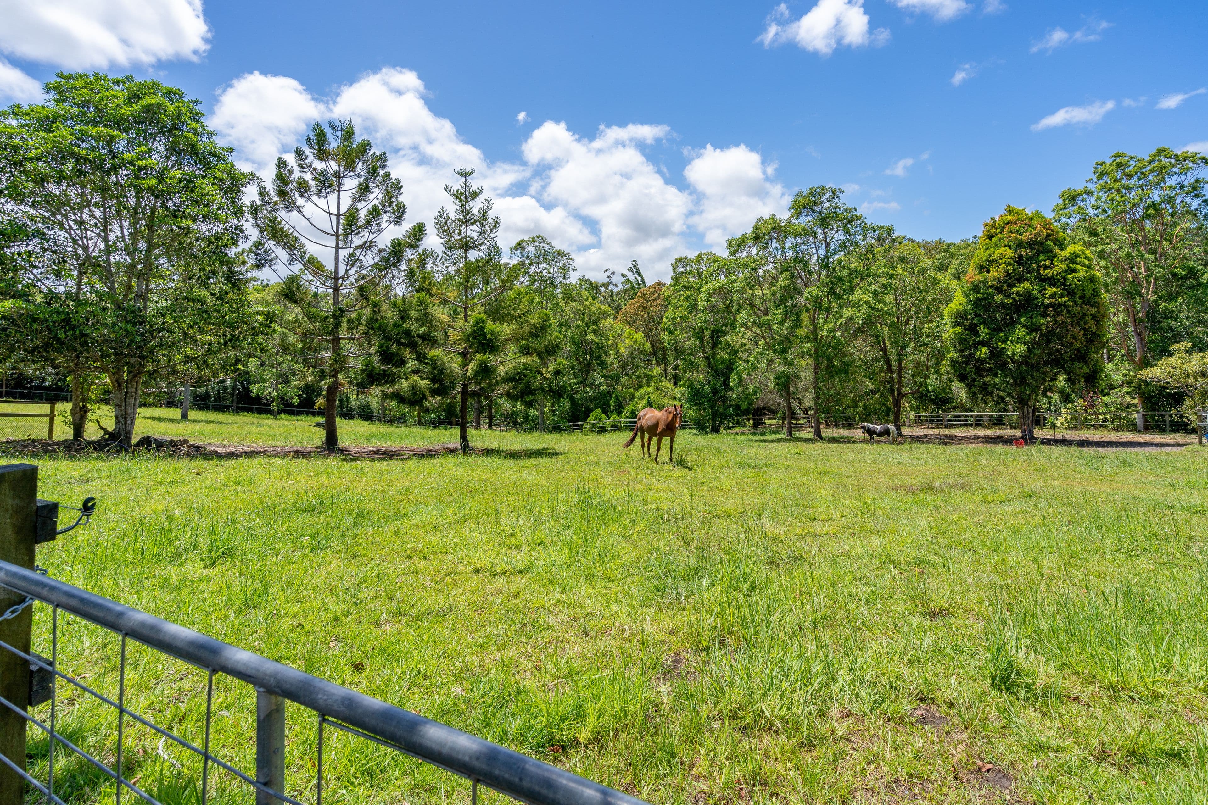11 Vince Hinde Drive, Worongary QLD 4213, Worongary - Thumbnail 5