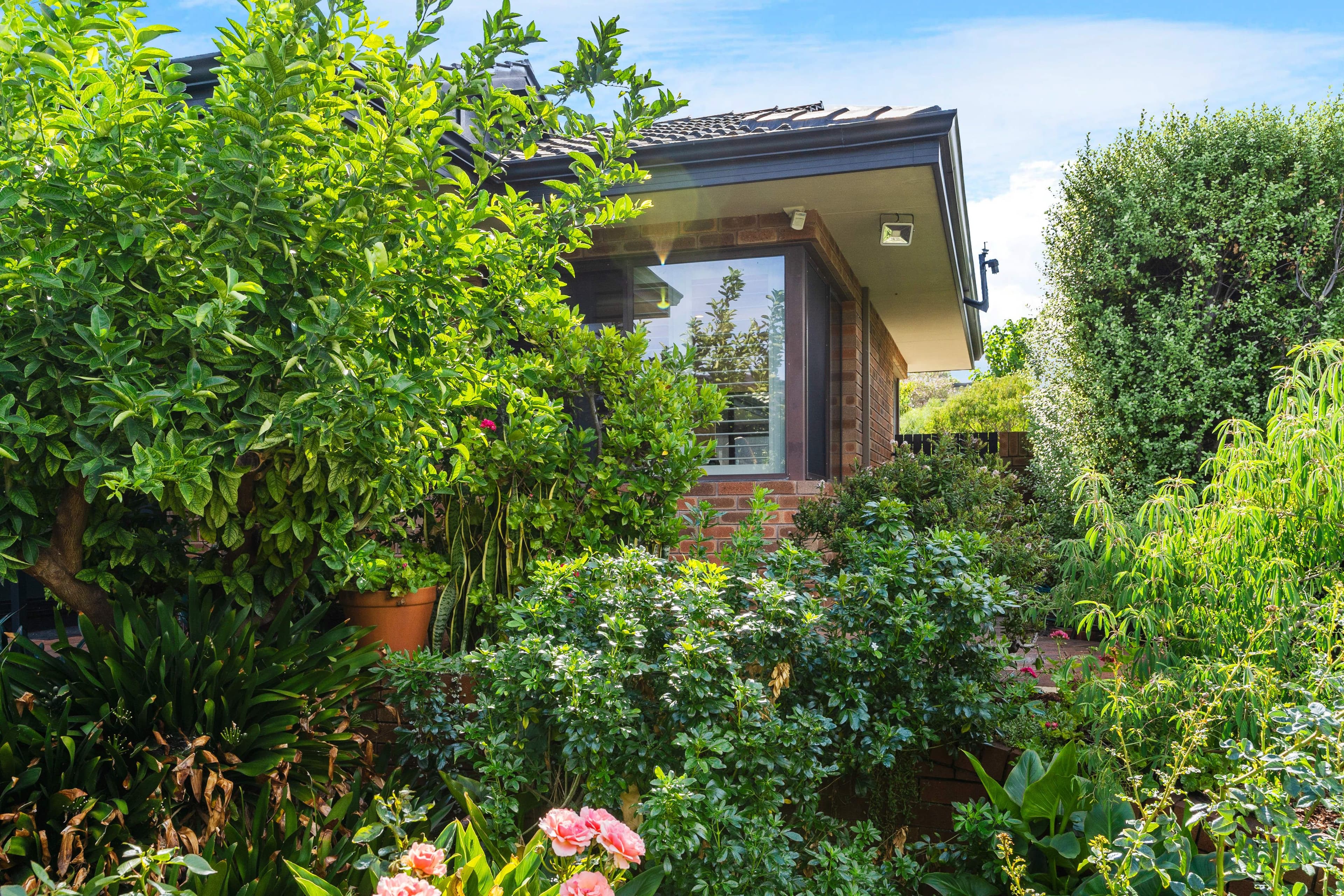 29 Warralong Crescent, Coolbinia WA 6050, Coolbinia - Thumbnail 2