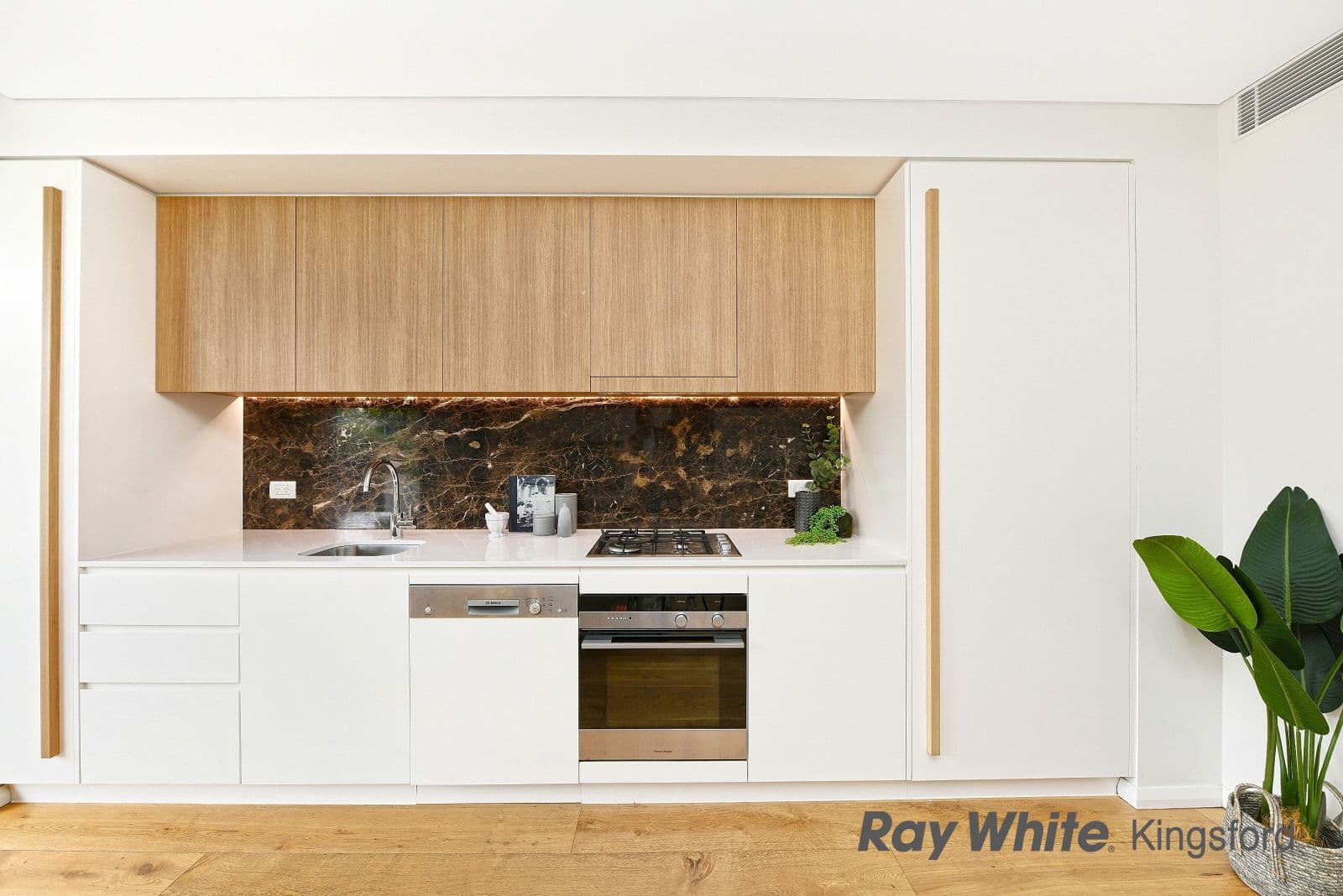 49 Boronia Street, Kensington NSW 2033, Kensington - Thumbnail 4