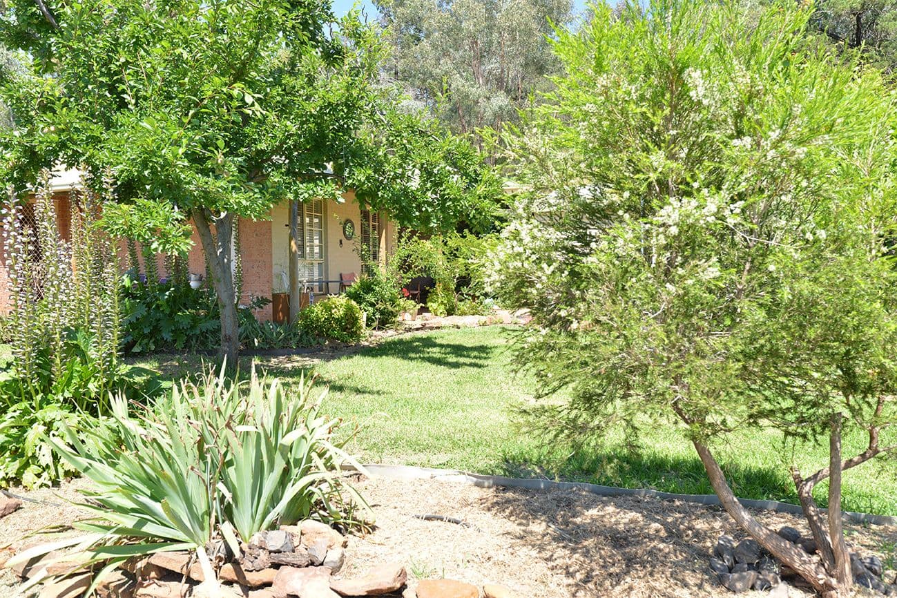 6 HANNAHS Lane, Coonabarabran NSW 2357, Coonabarabran - Thumbnail 6