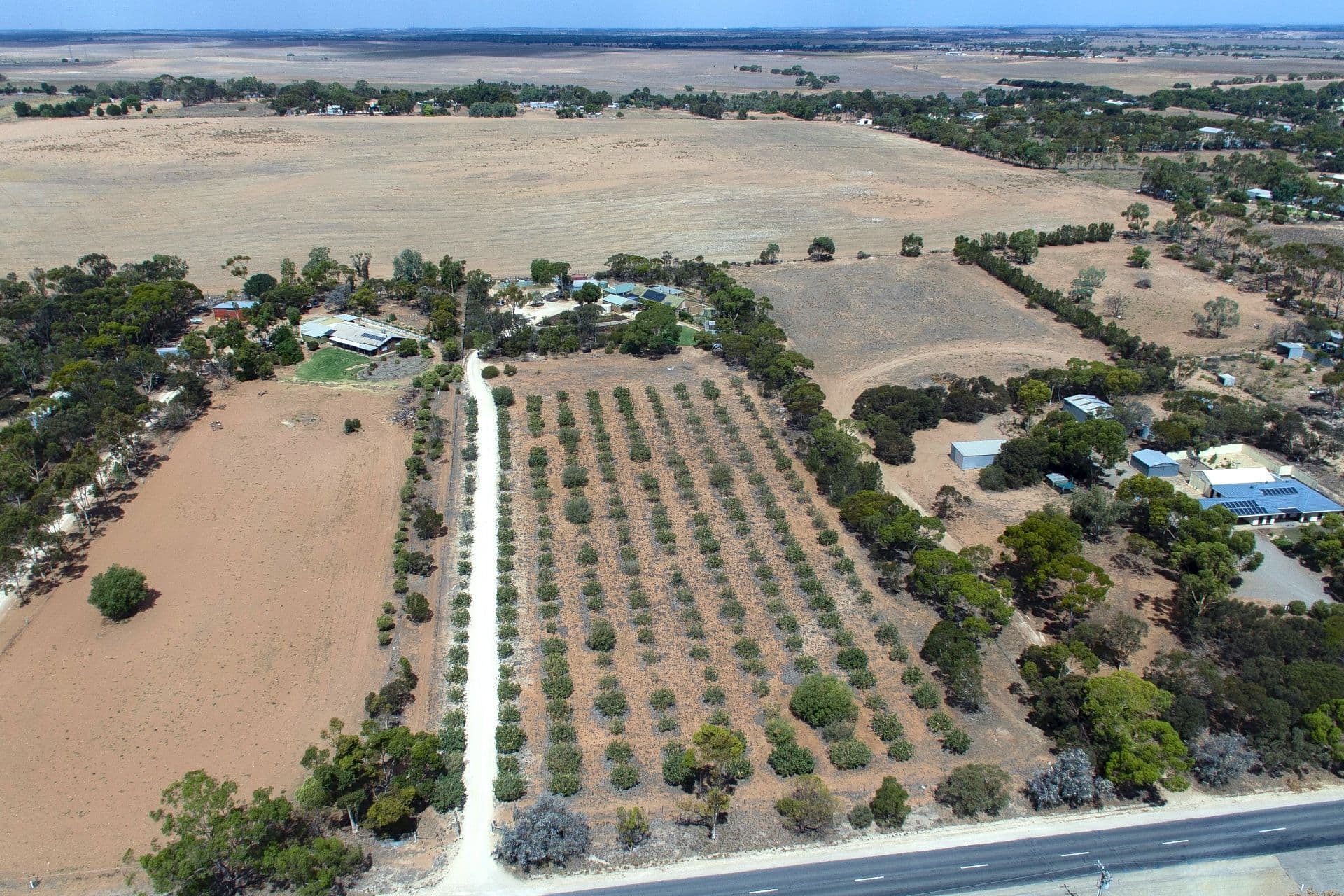 131-133 Mitchell Avenue, Murray Bridge SA 5253, Murray Bridge East - Thumbnail 2