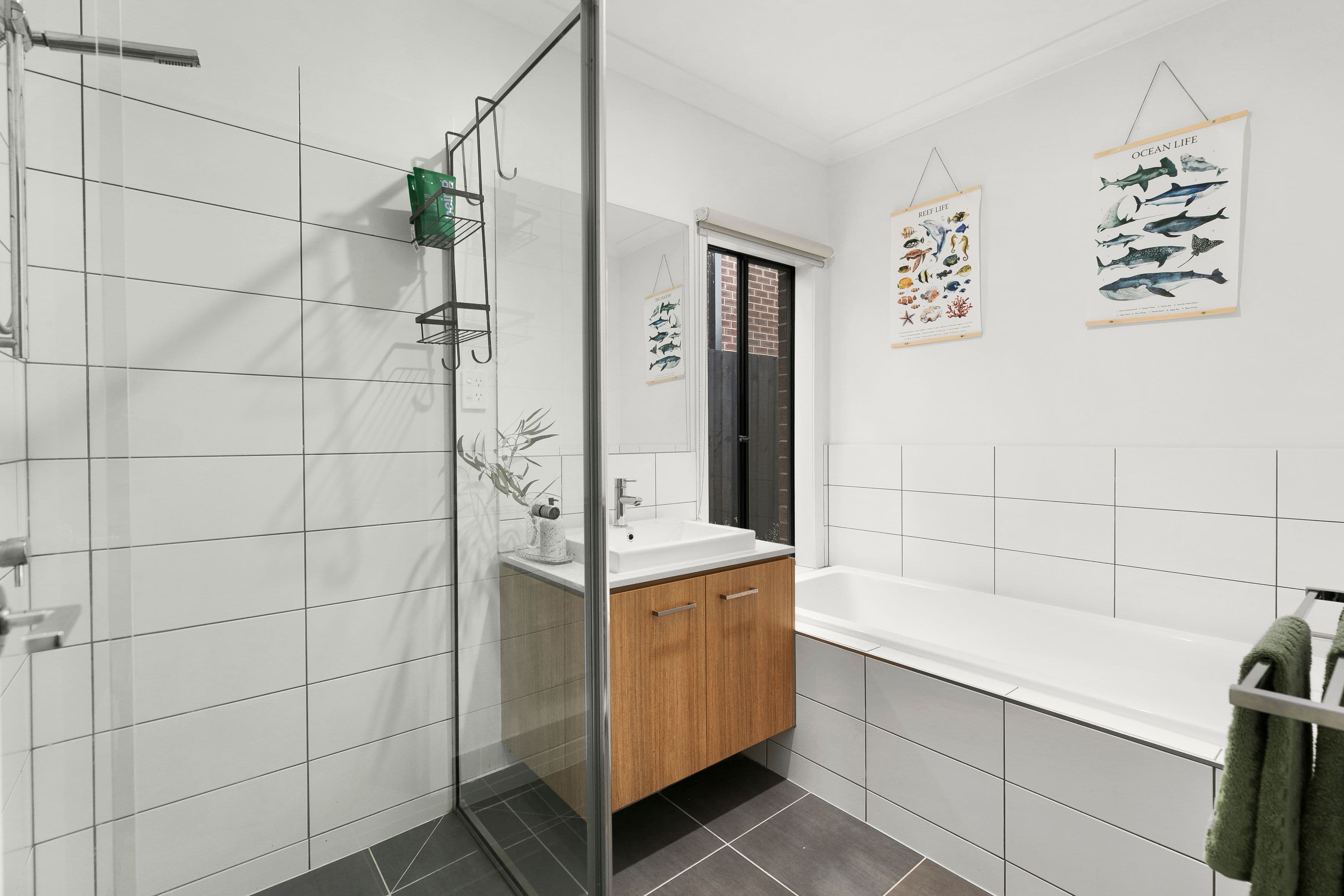 12 Vermilion Drive, Greenvale VIC 3059, Greenvale - Thumbnail 6