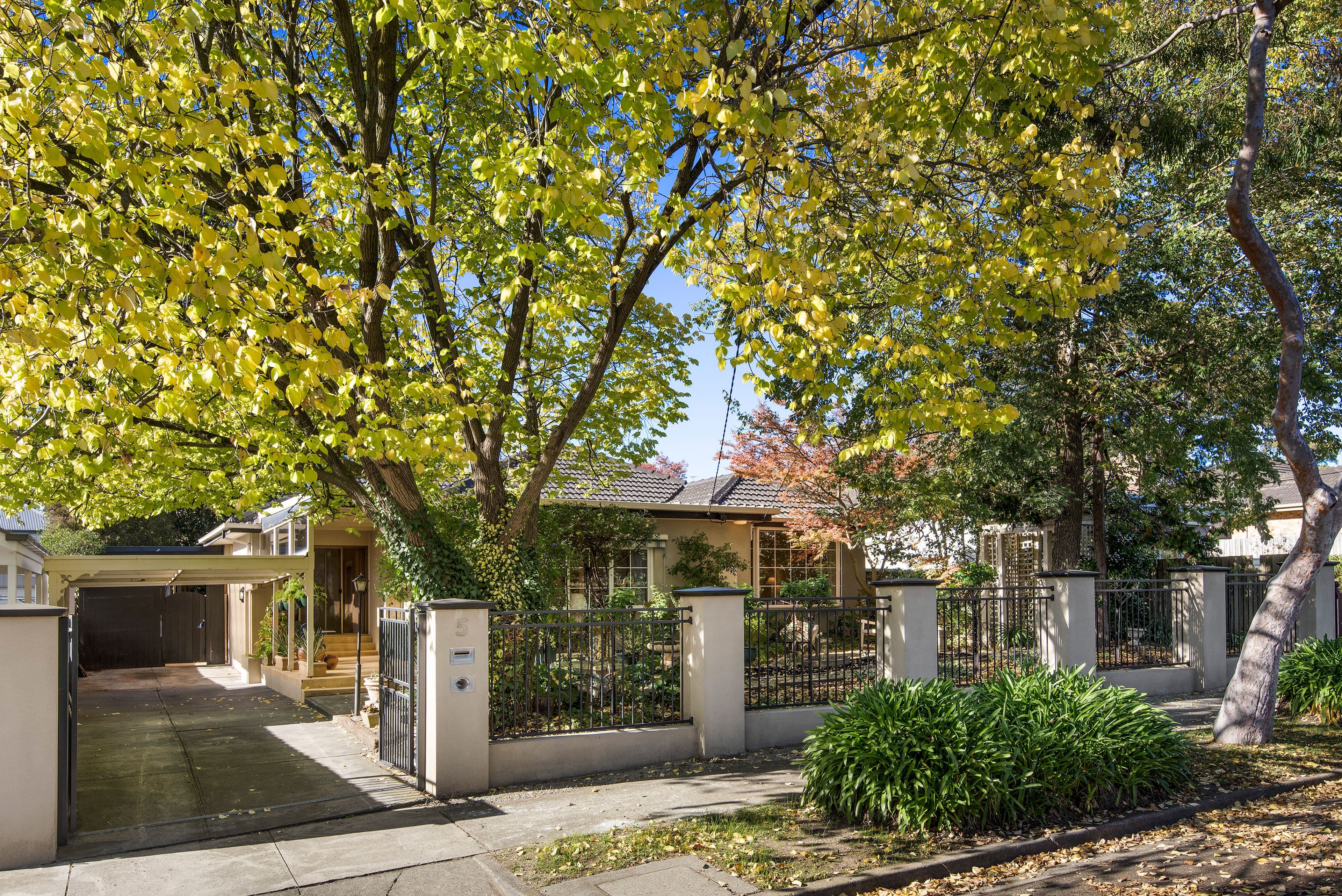 5 Lynette Street, Nunawading VIC 3131, Nunawading - Image 1