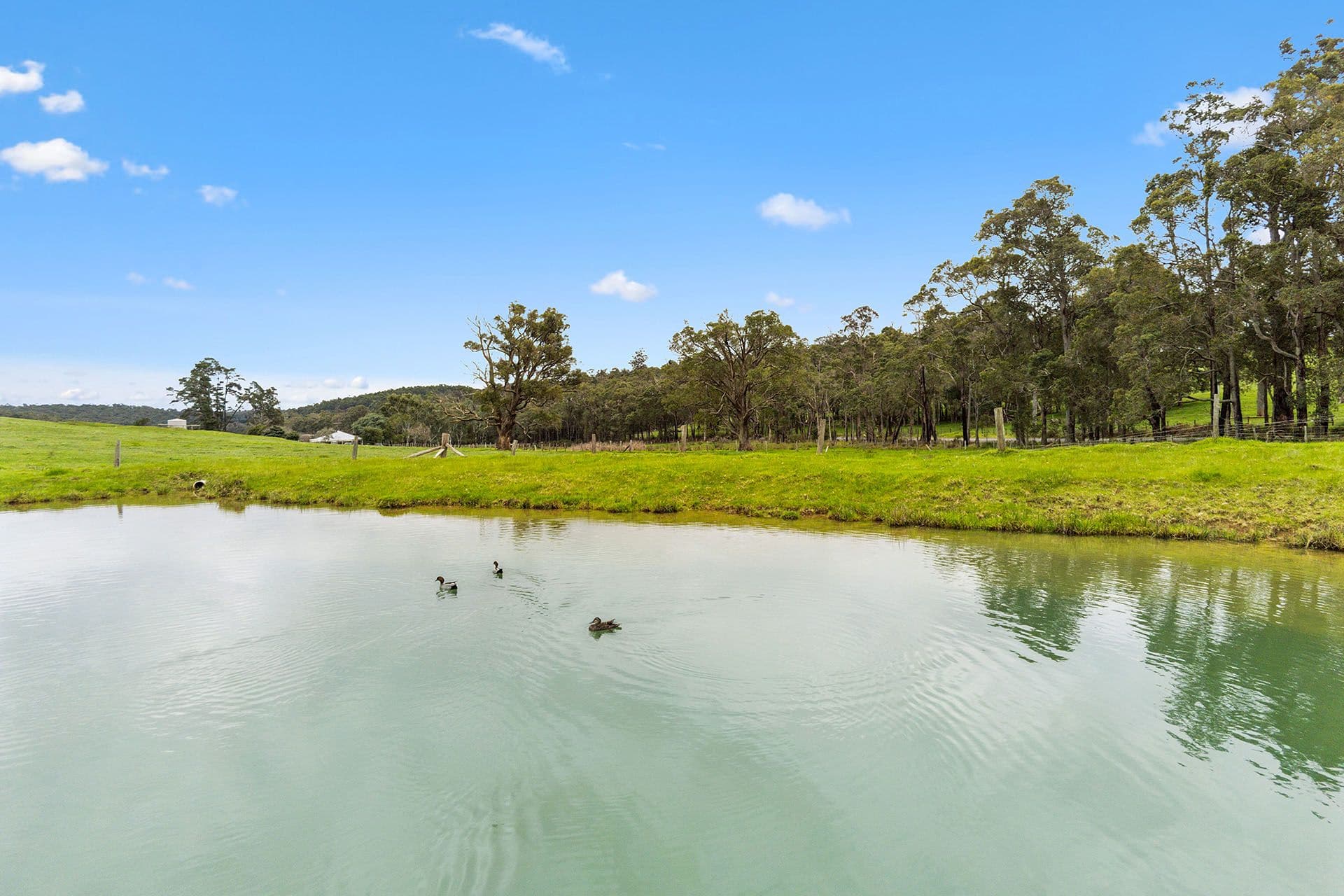 4175 Graphite Road, Nannup WA 6275, Nannup - Thumbnail 3
