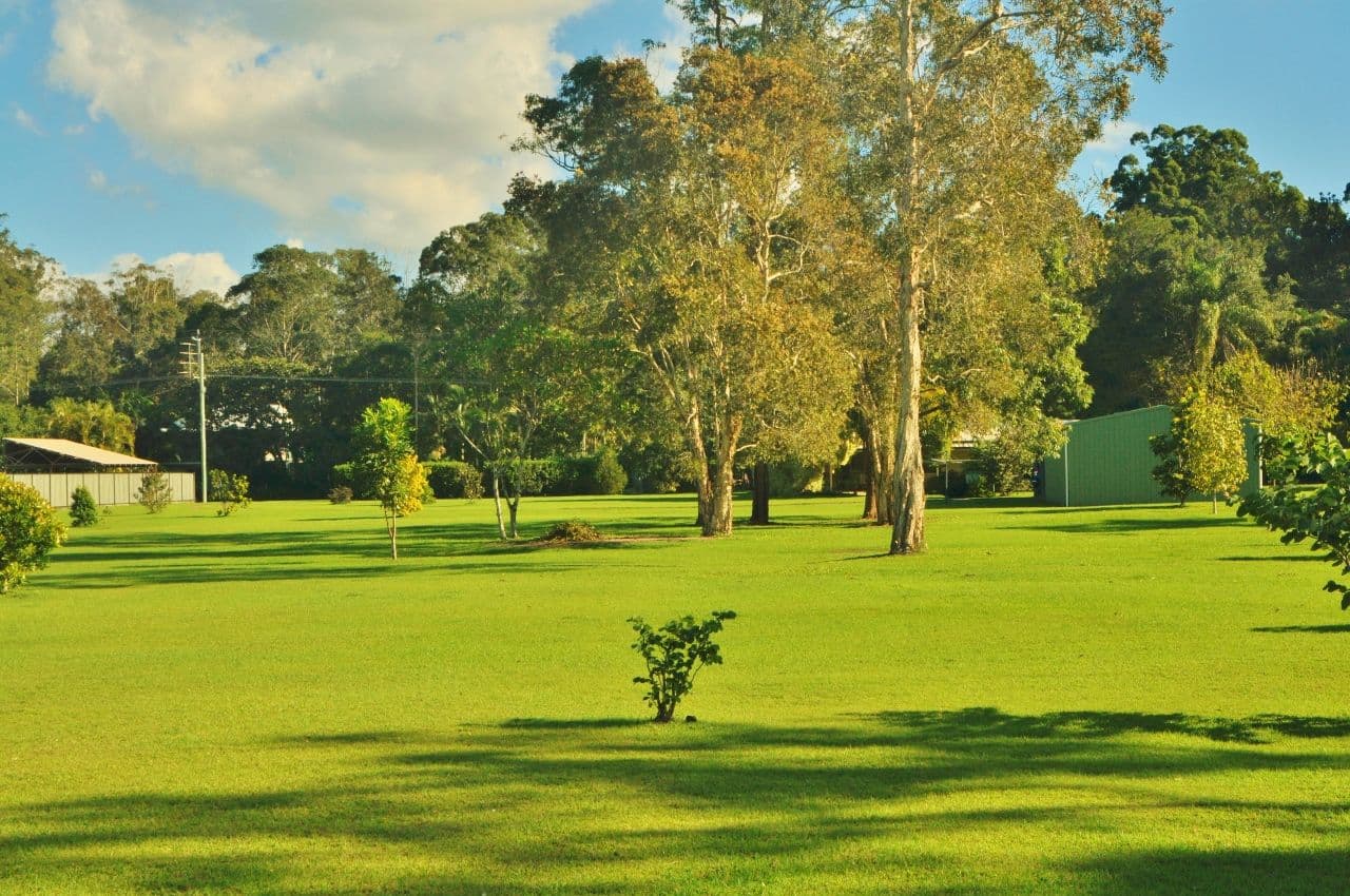 209 Hardwood Road, Landsborough QLD 4550, Landsborough - Thumbnail 4
