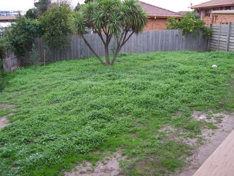 11 Edgerton Court, HAMPTON PARK VIC 3976, Hampton Park - Thumbnail 7