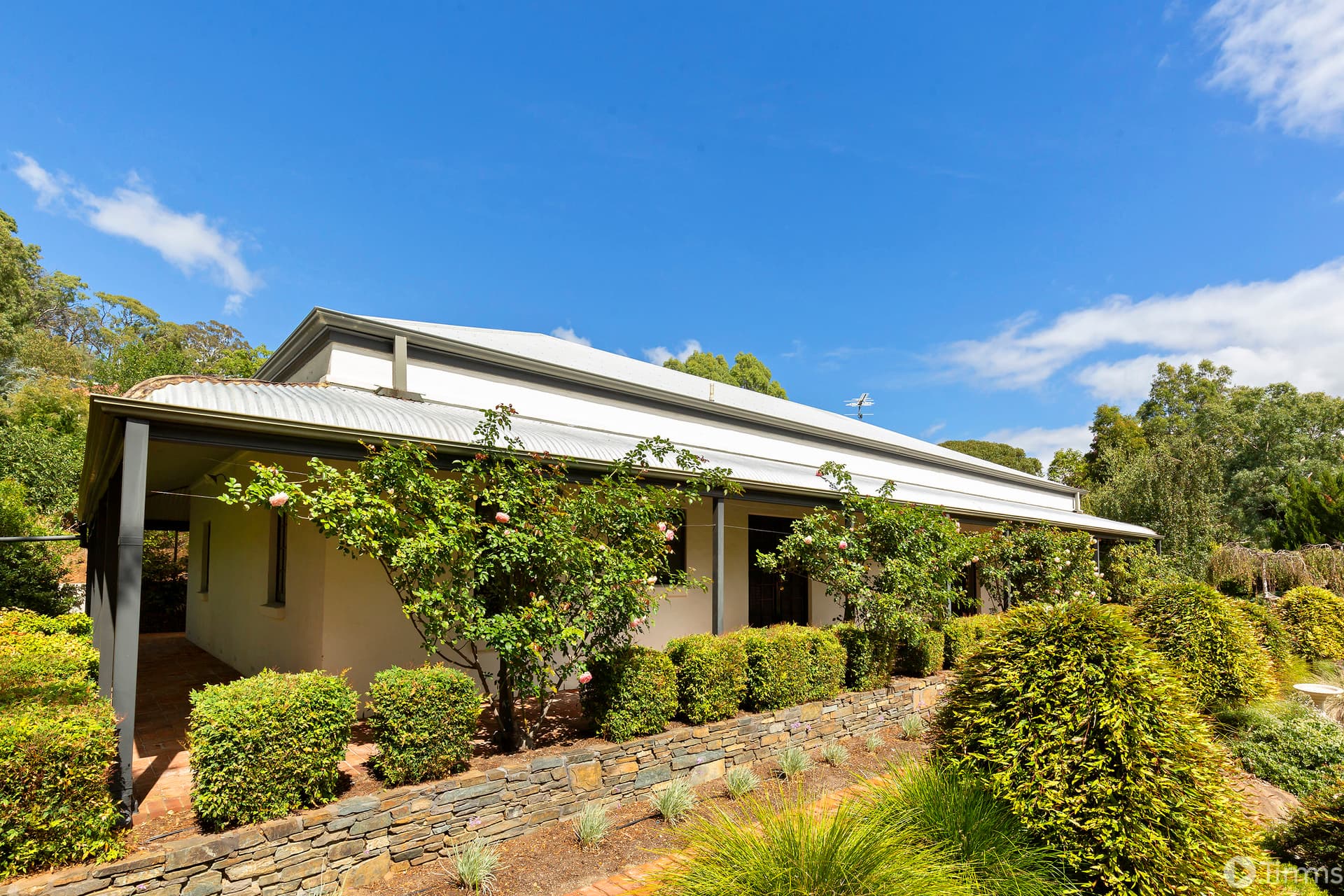 5 Buckley Crescent, Coromandel Valley - Image 1