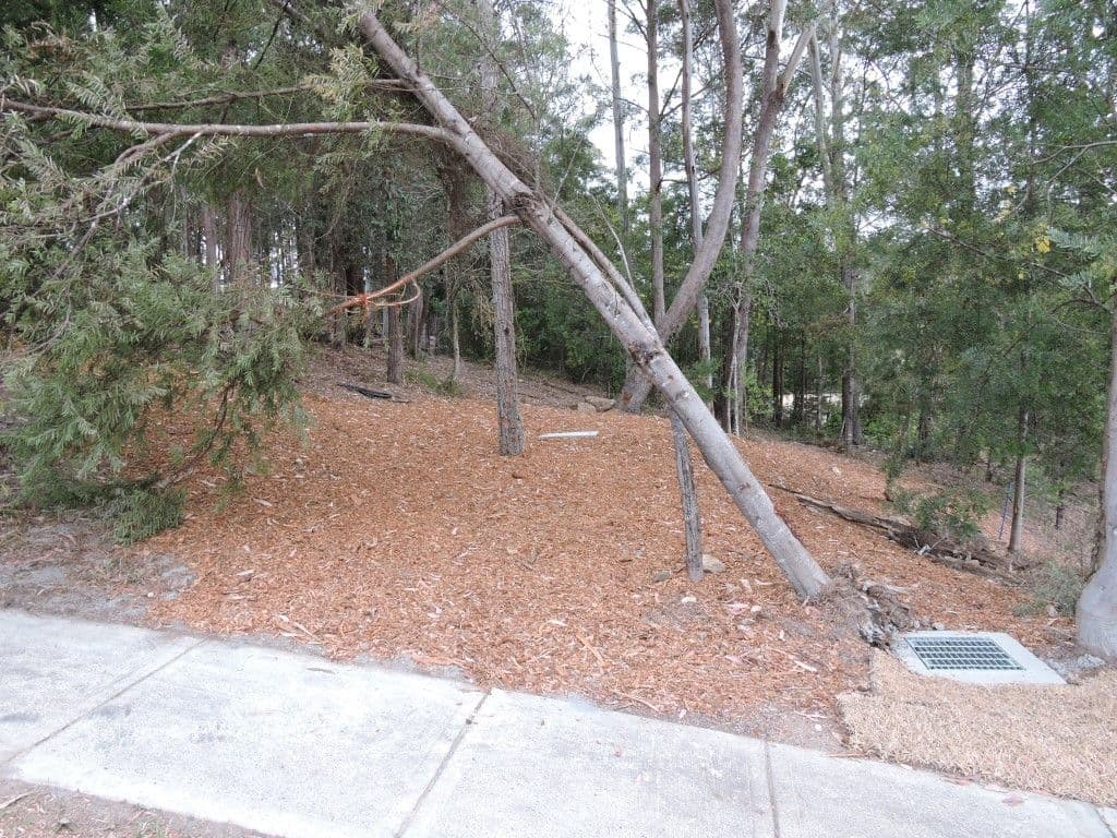 Lot 4, 521 Sunnyvale Close, LISAROW NSW 2250, Lisarow - Thumbnail 2
