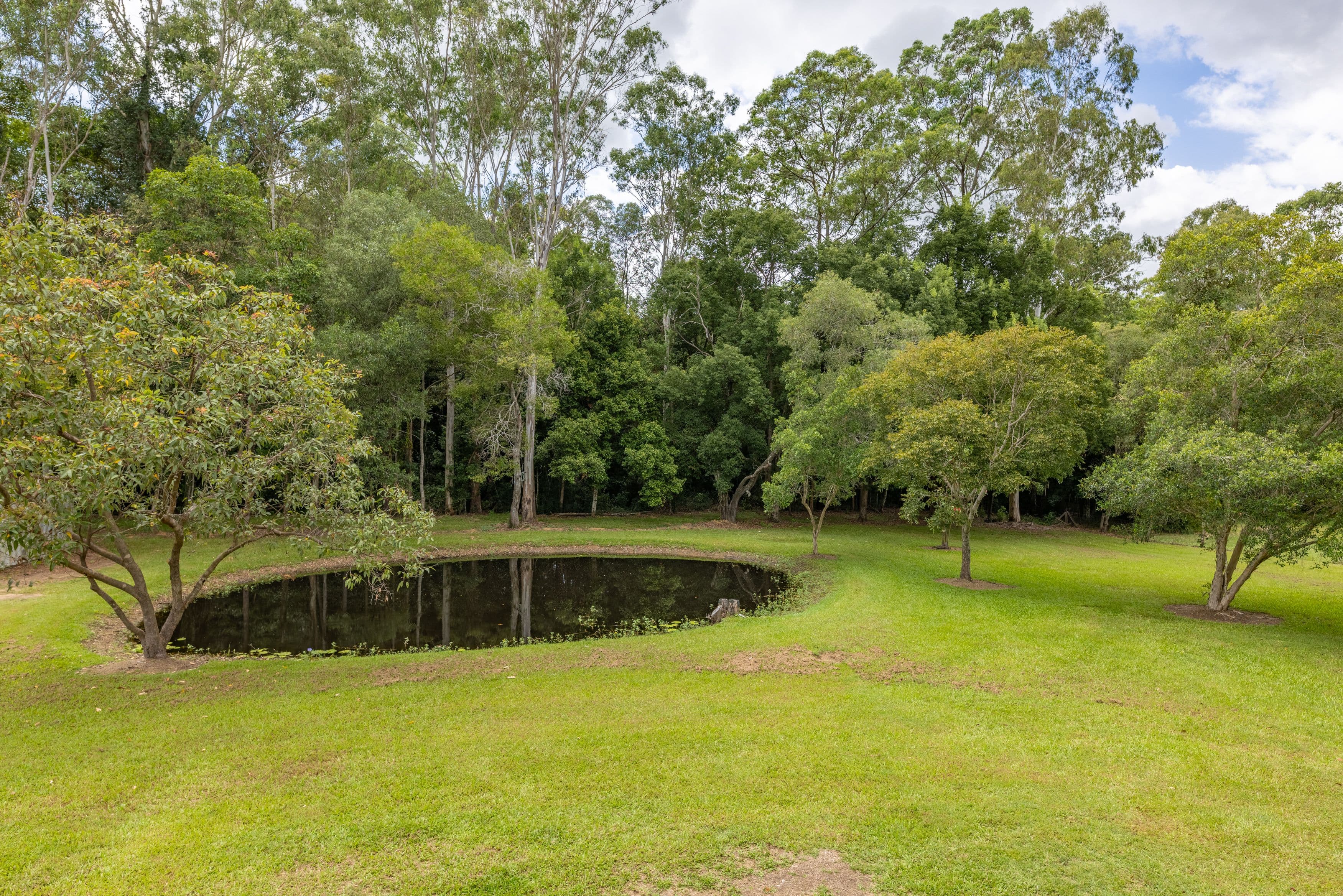 43 Forestcreek Place, Wamuran QLD 4512, Wamuran - Thumbnail 5