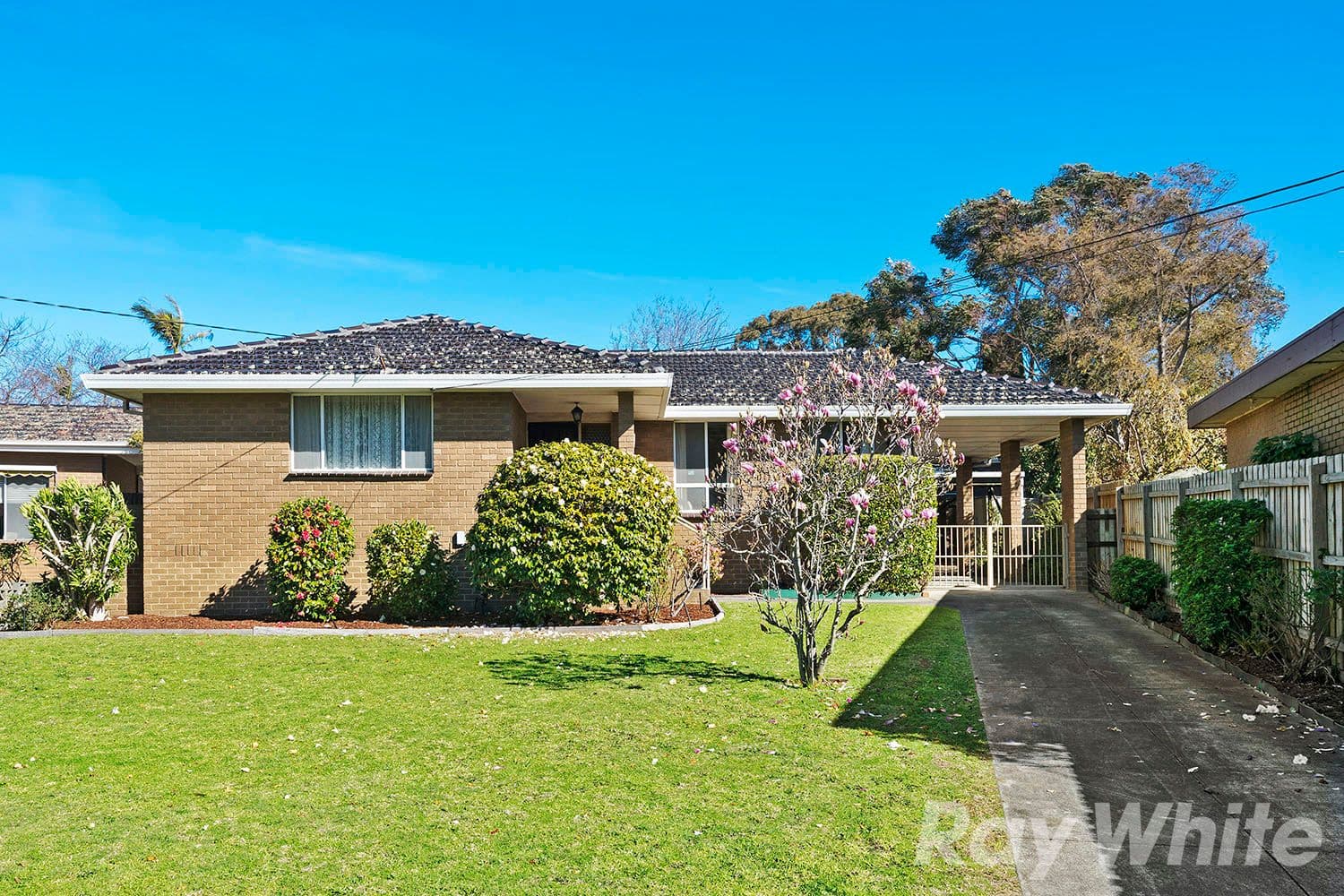 5 Orana Court, Moorabbin VIC 3189, Moorabbin - Image 1