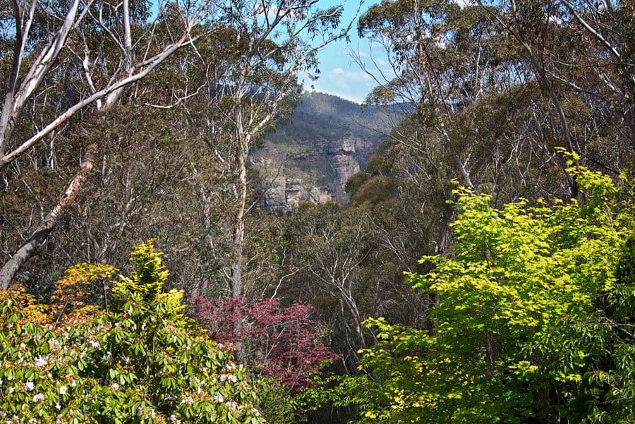 106 - 108 Shipley Road, BLACKHEATH NSW 2785, Blackheath - Thumbnail 5