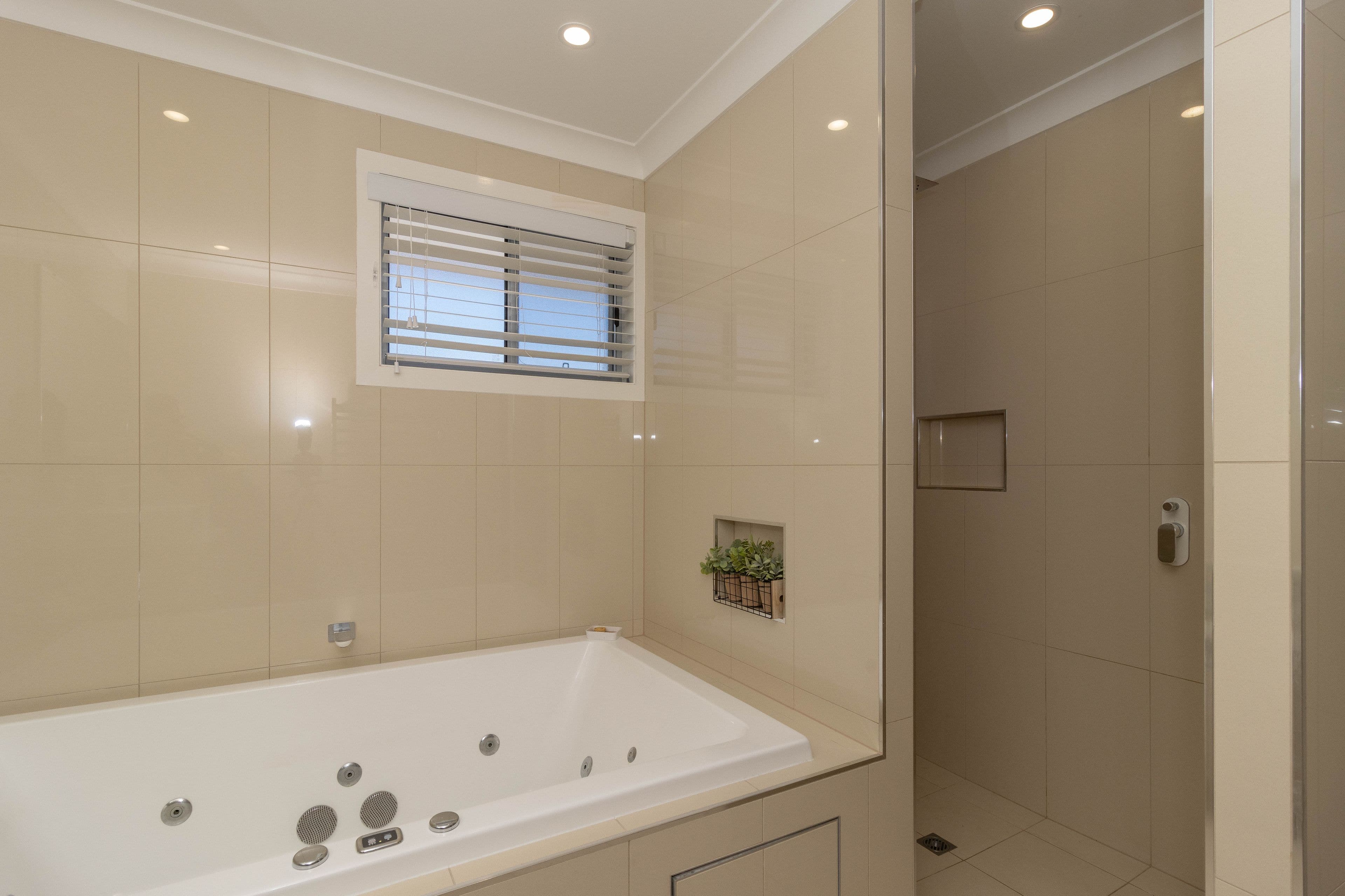 40 Winchelsea Street, Pialba QLD 4655, Pialba - Thumbnail 6