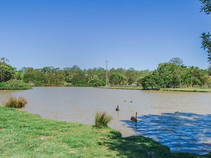 65 Ruth Terrace, Oxenford QLD 4210, Oxenford - Thumbnail 2