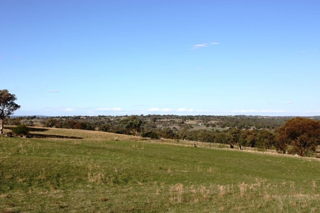 440 Milvale Road, YOUNG NSW 2594, Young - Image 1