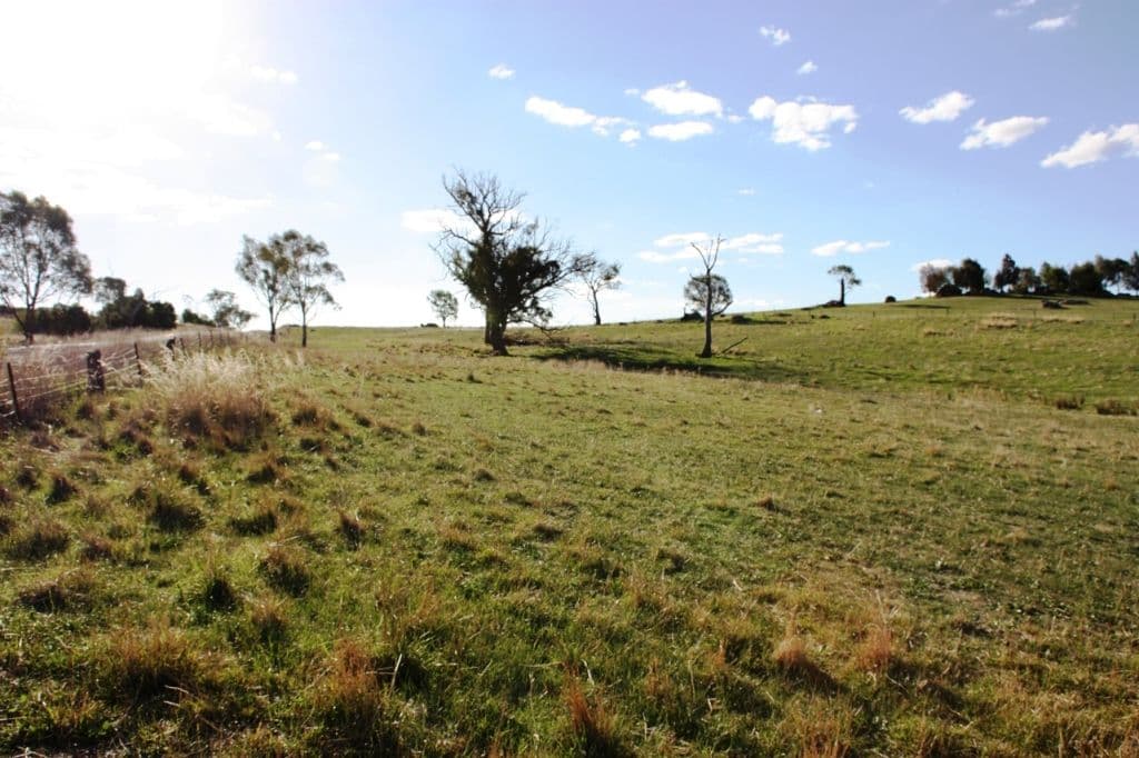 440 Milvale Road, YOUNG NSW 2594, Young - Thumbnail 2