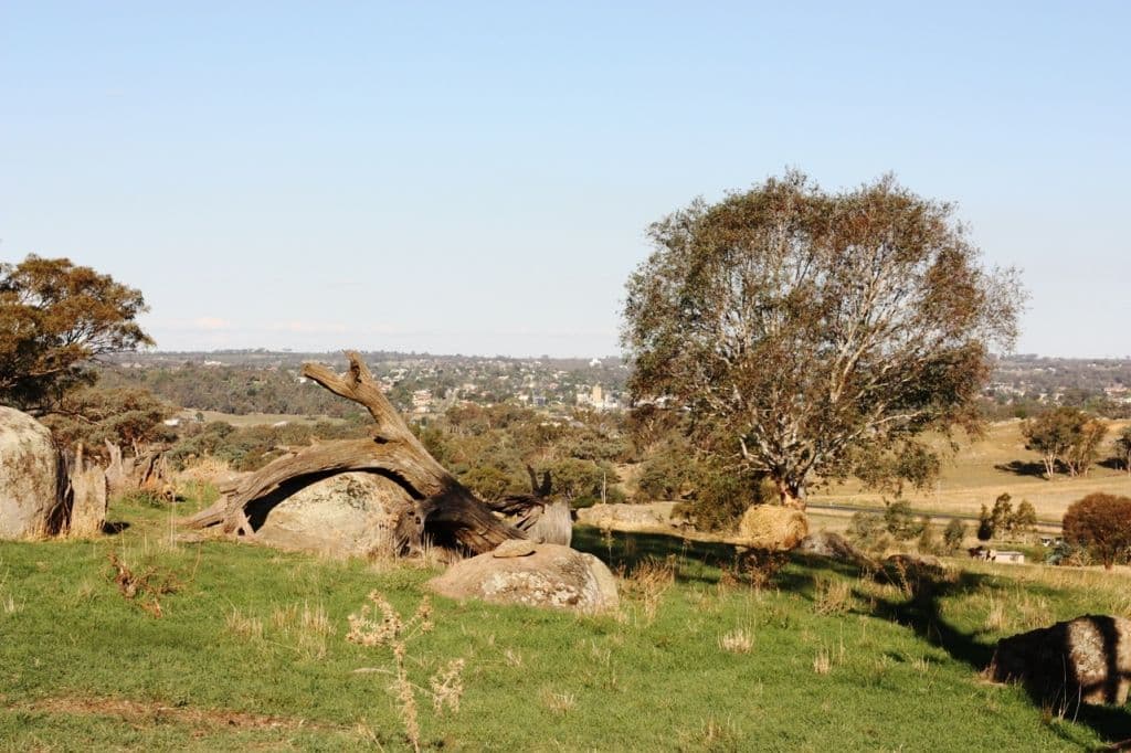 440 Milvale Road, YOUNG NSW 2594, Young - Thumbnail 3
