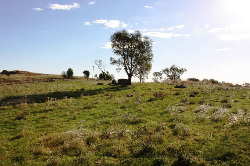 440 Milvale Road, YOUNG NSW 2594, Young - Thumbnail 6