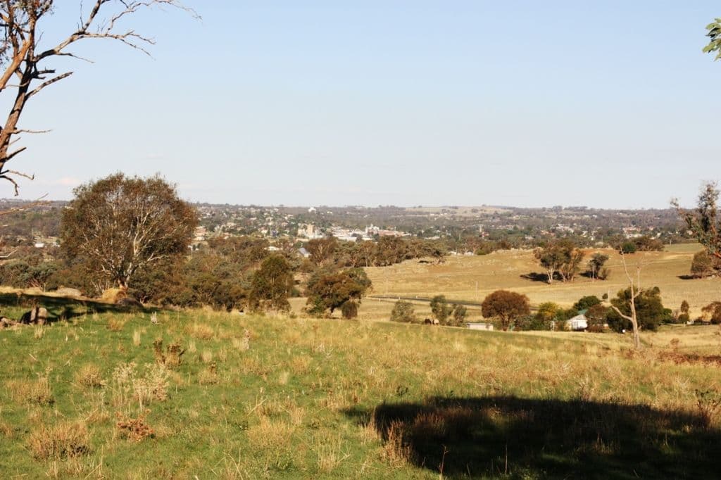 440 Milvale Road, YOUNG NSW 2594, Young - Thumbnail 7