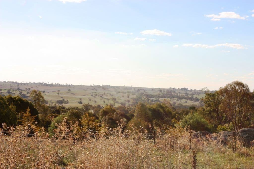 440 Milvale Road, YOUNG NSW 2594, Young - Thumbnail 8