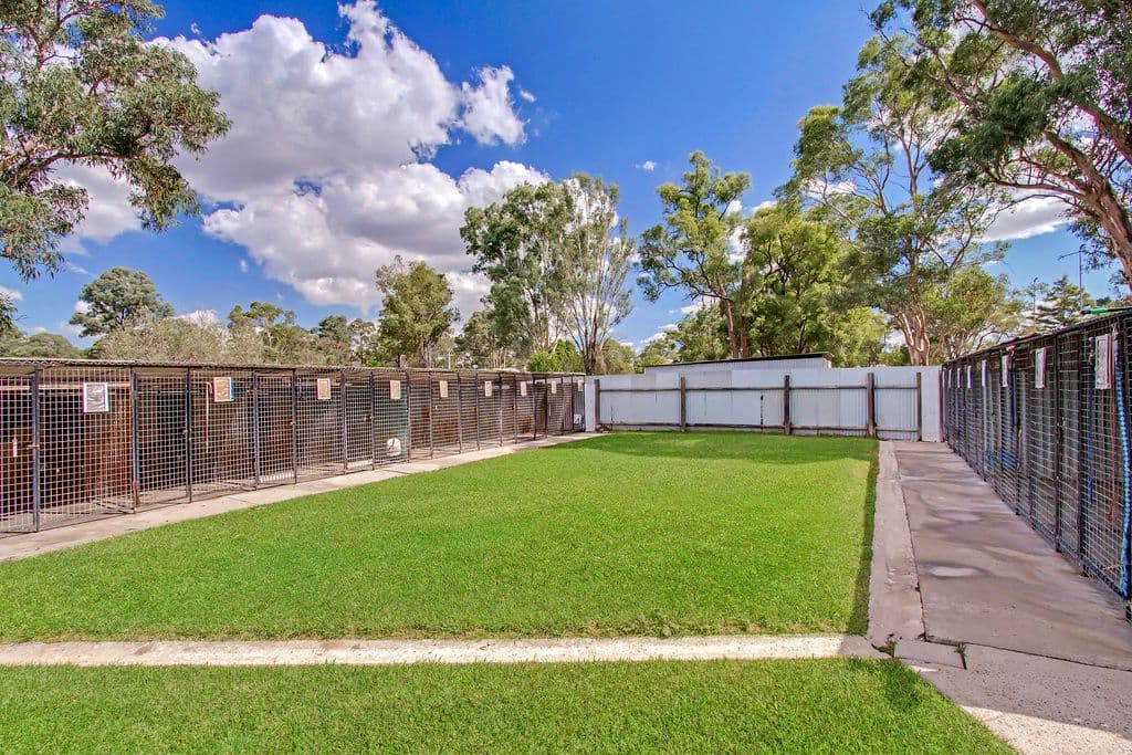 10 Fifth Road, BERKSHIRE PARK NSW 2765, Berkshire Park - Thumbnail 7