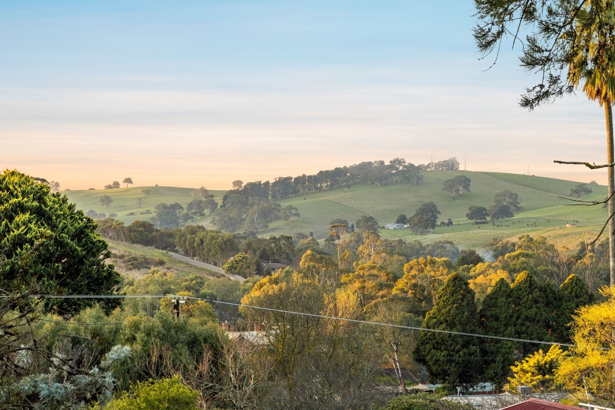54 Britannia Road, Nairne SA 5252, Nairne - Thumbnail 3