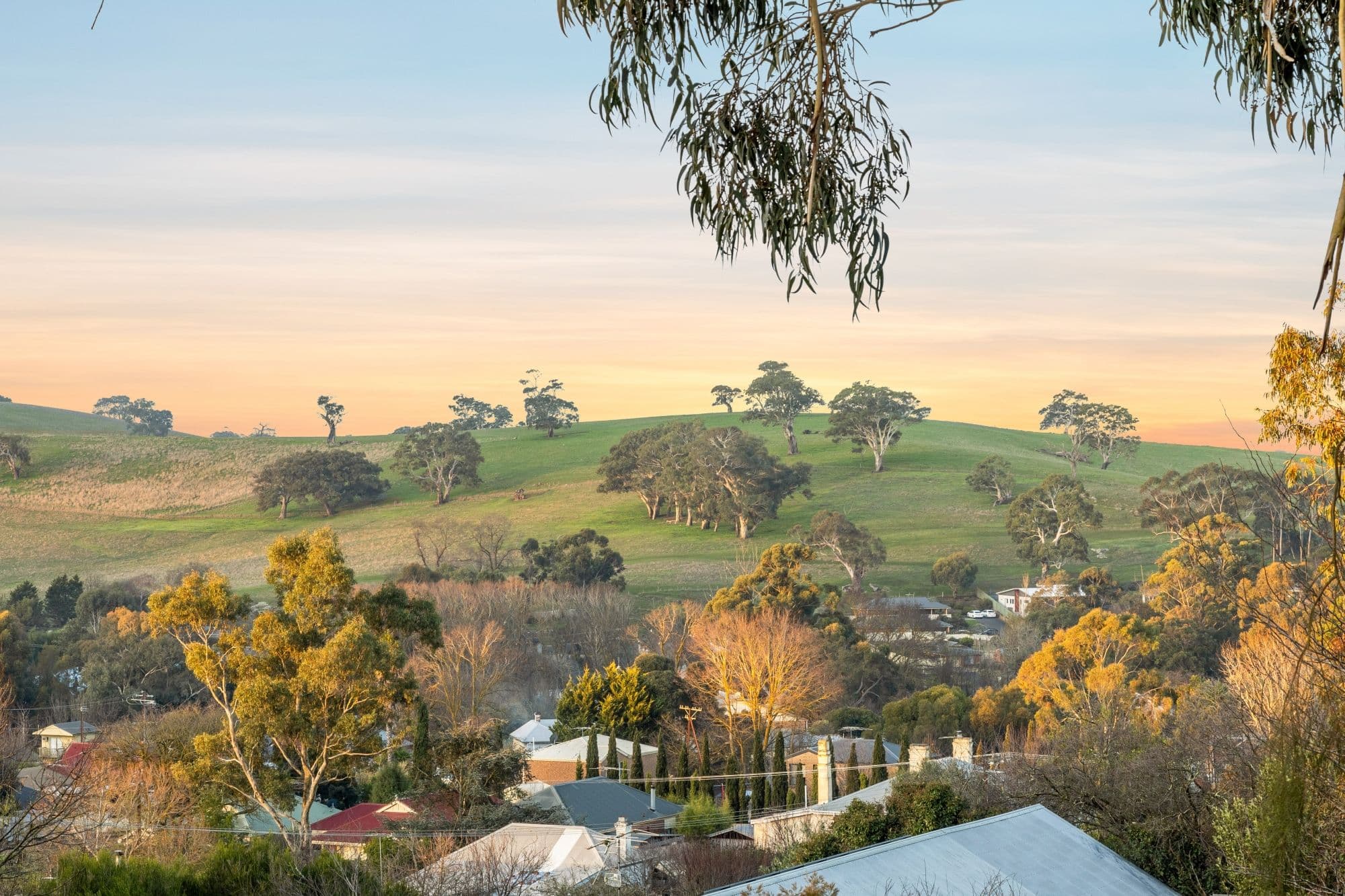 54 Britannia Road, Nairne SA 5252, Nairne - Thumbnail 4