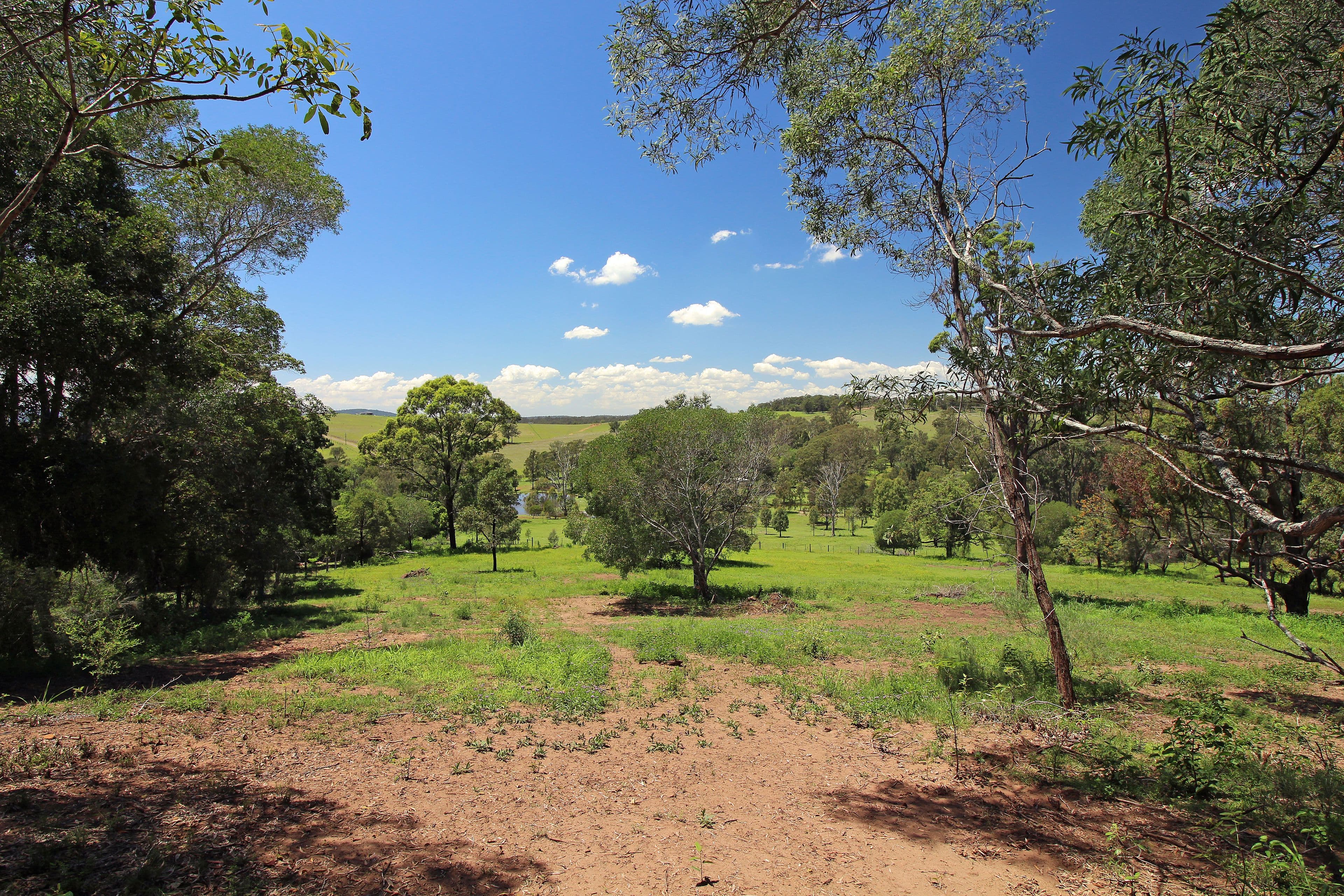 3 Bachmann Road, HAIGSLEA QLD 4306, Haigslea - Image 1