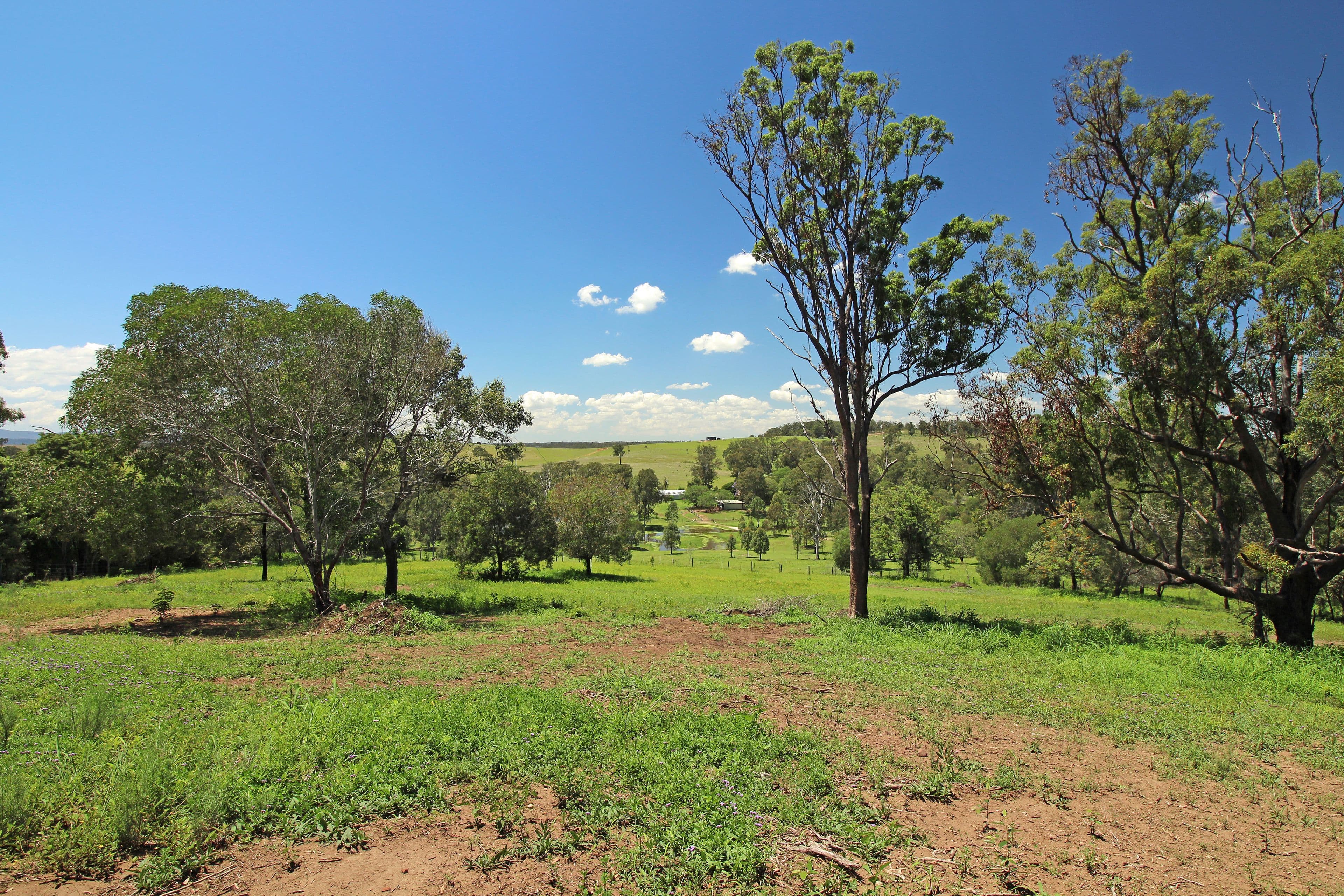 3 Bachmann Road, HAIGSLEA QLD 4306, Haigslea - Thumbnail 2