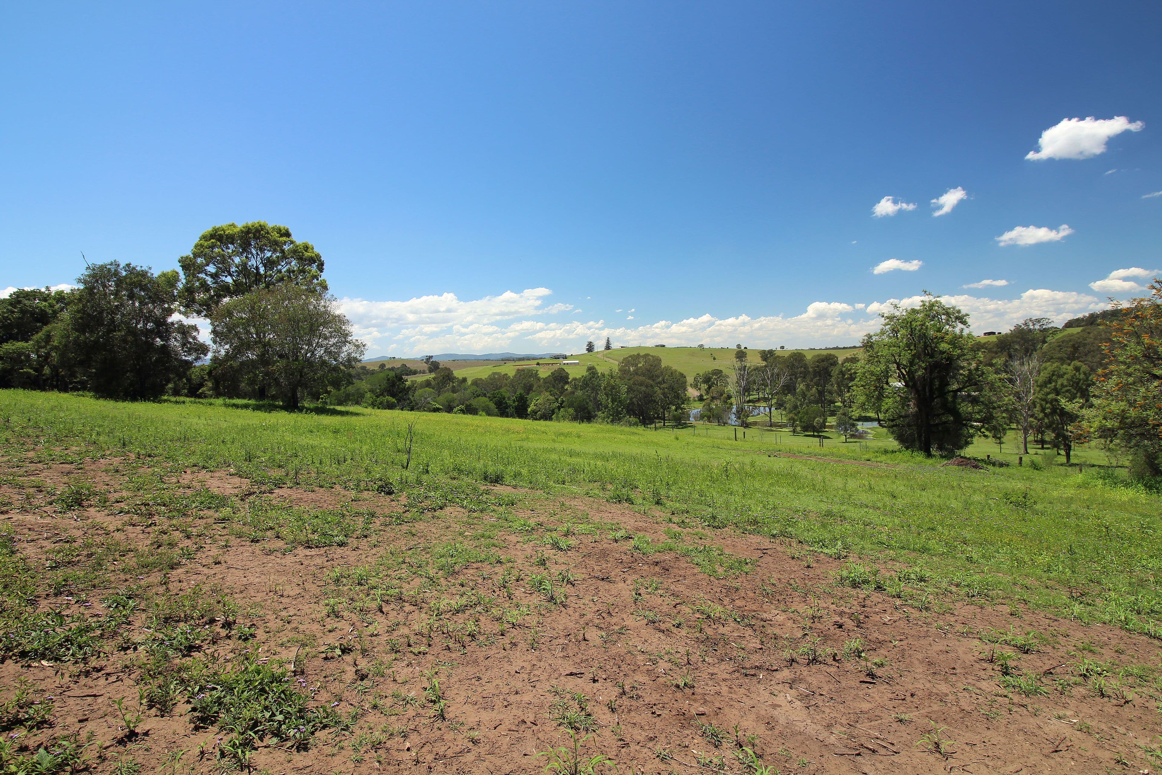 3 Bachmann Road, HAIGSLEA QLD 4306, Haigslea - Thumbnail 3