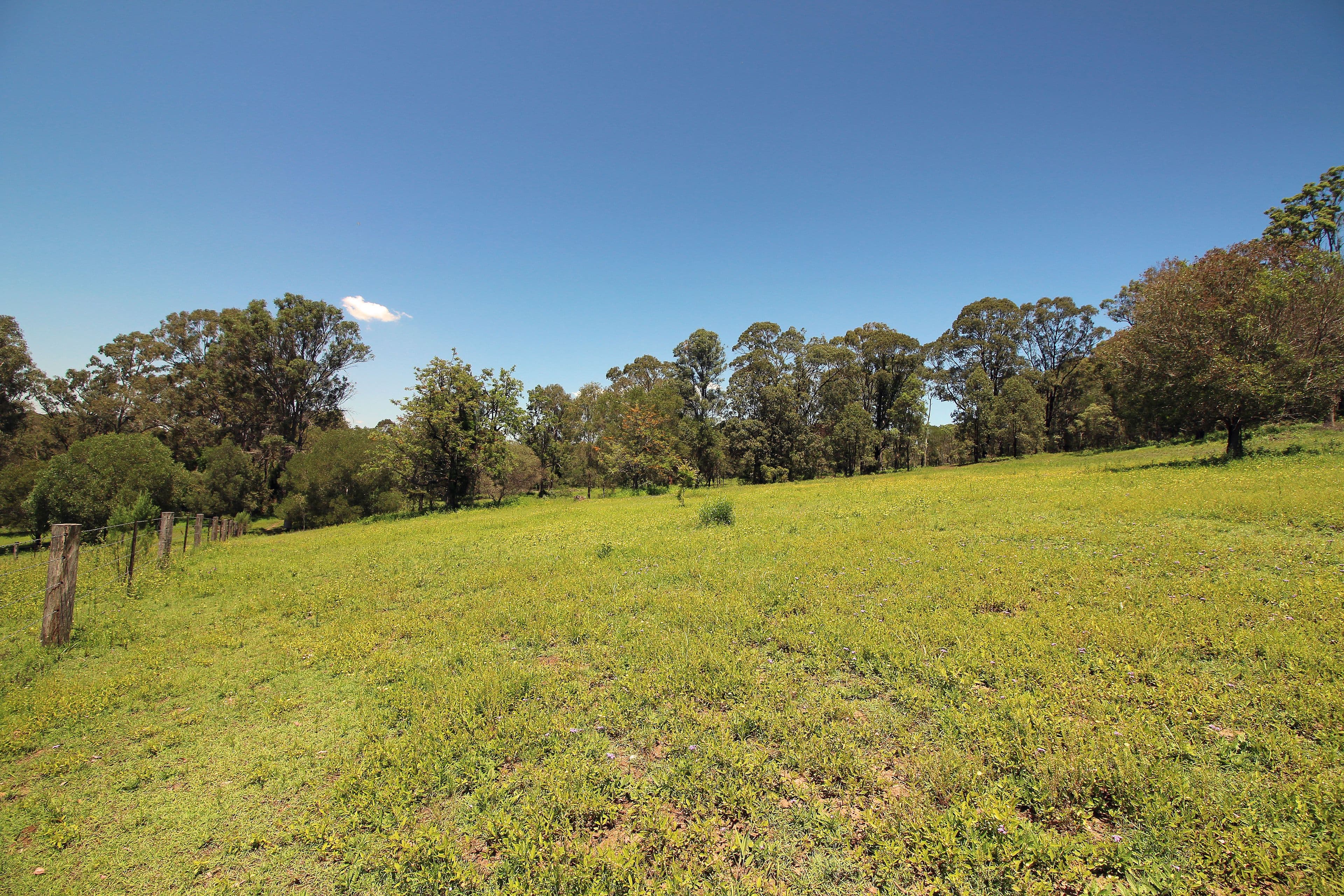 3 Bachmann Road, HAIGSLEA QLD 4306, Haigslea - Thumbnail 4
