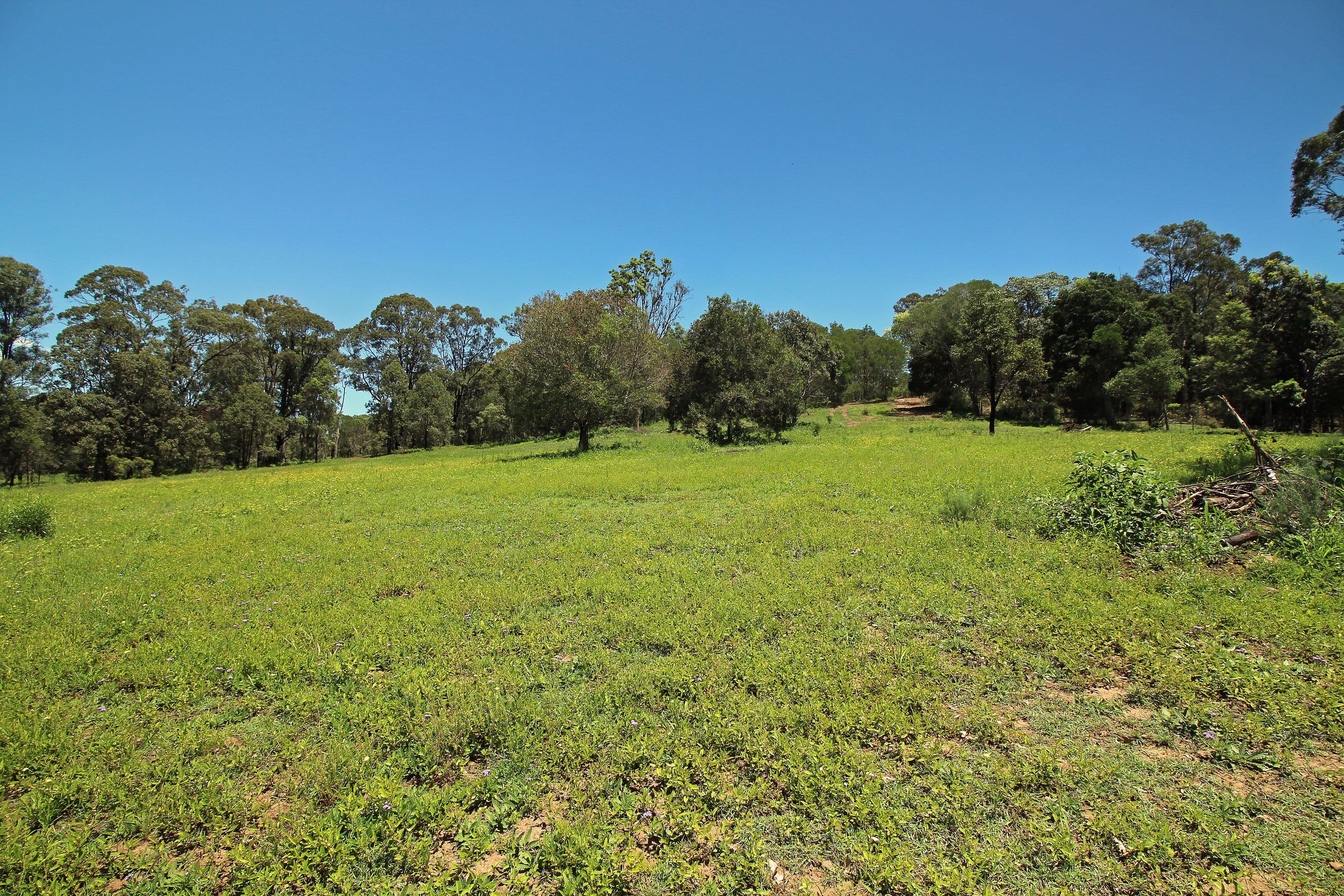 3 Bachmann Road, HAIGSLEA QLD 4306, Haigslea - Thumbnail 5
