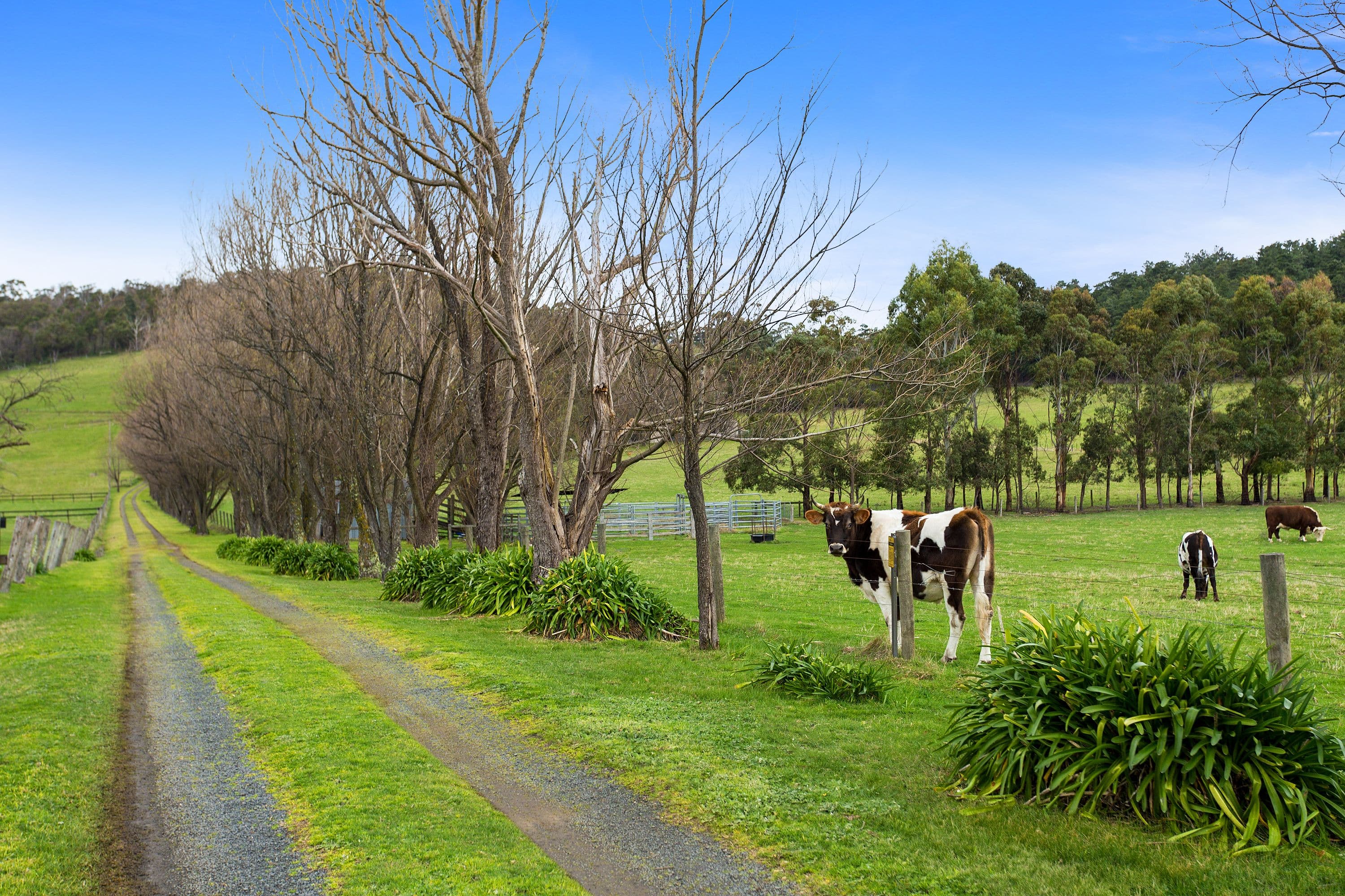 240 Pakenham Road, Pakenham VIC 3810, Pakenham - Thumbnail 2
