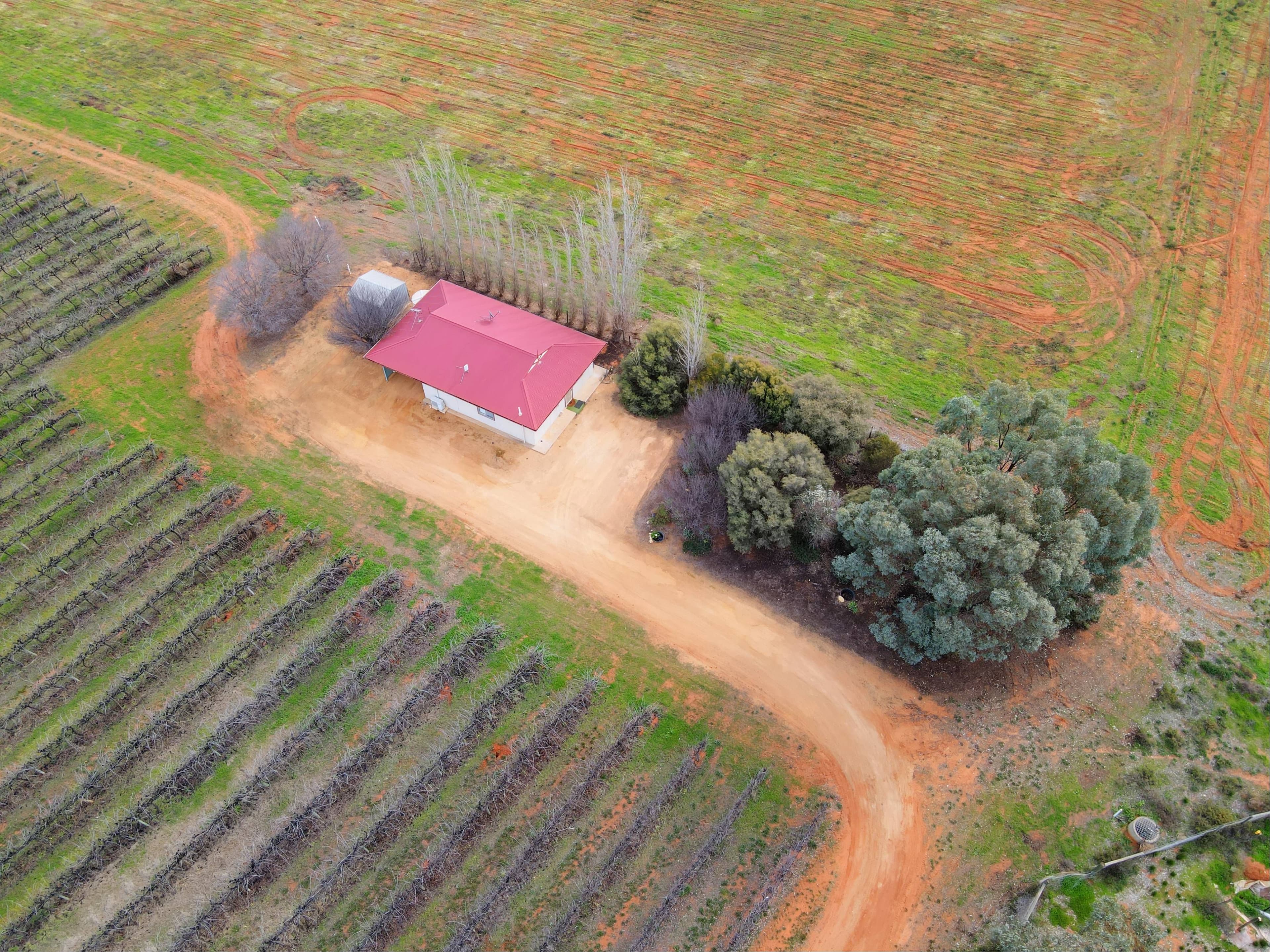 885 Old Sturt Highway, Berri SA 5343, Berri - Thumbnail 3