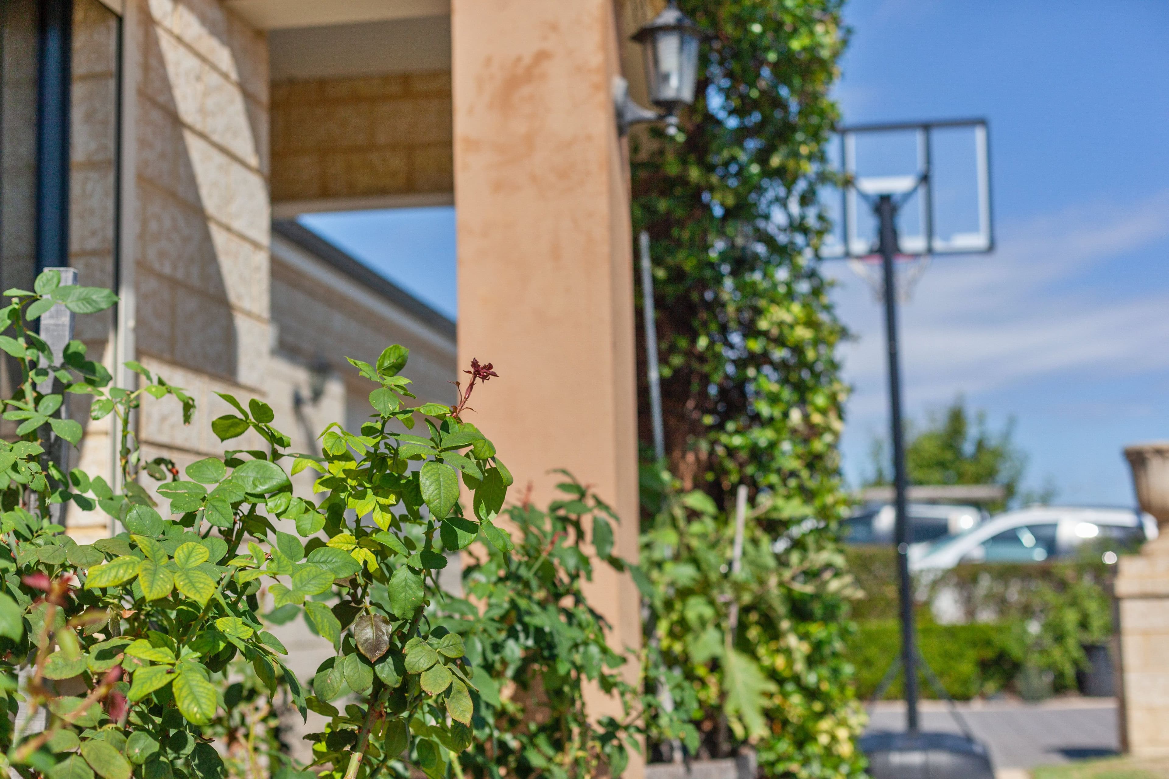 17 Castanet Drive, Madeley WA 6065, Madeley - Thumbnail 4