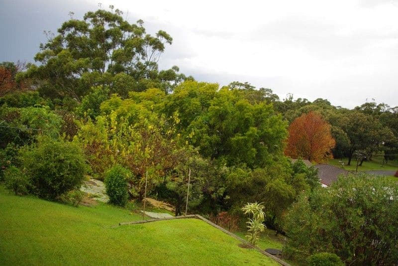 91 Bailey Avenue, COFFS HARBOUR NSW 2450, Coffs Harbour - Thumbnail 3