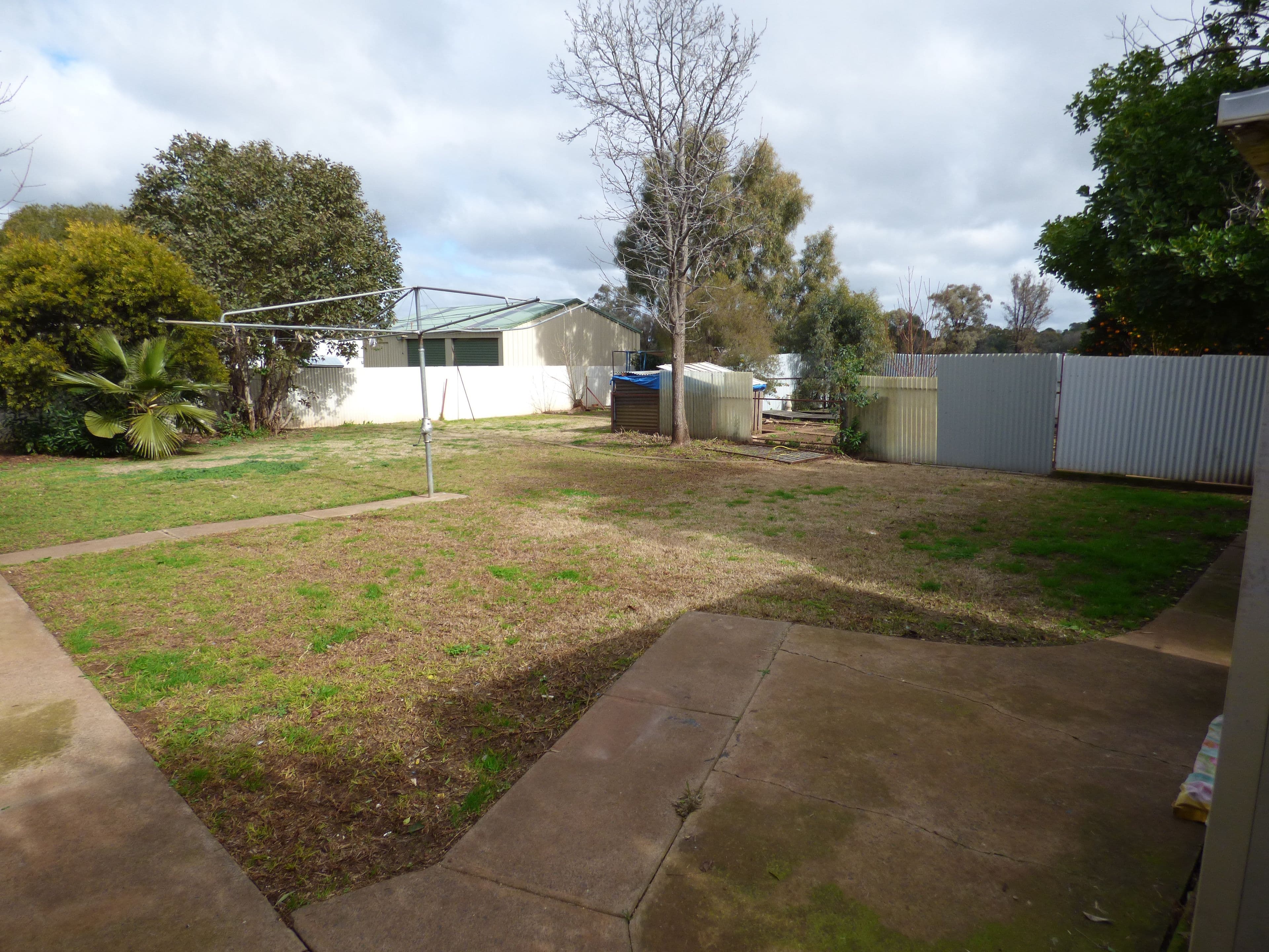 26 Belah Street, Forbes NSW 2871, Forbes - Thumbnail 7