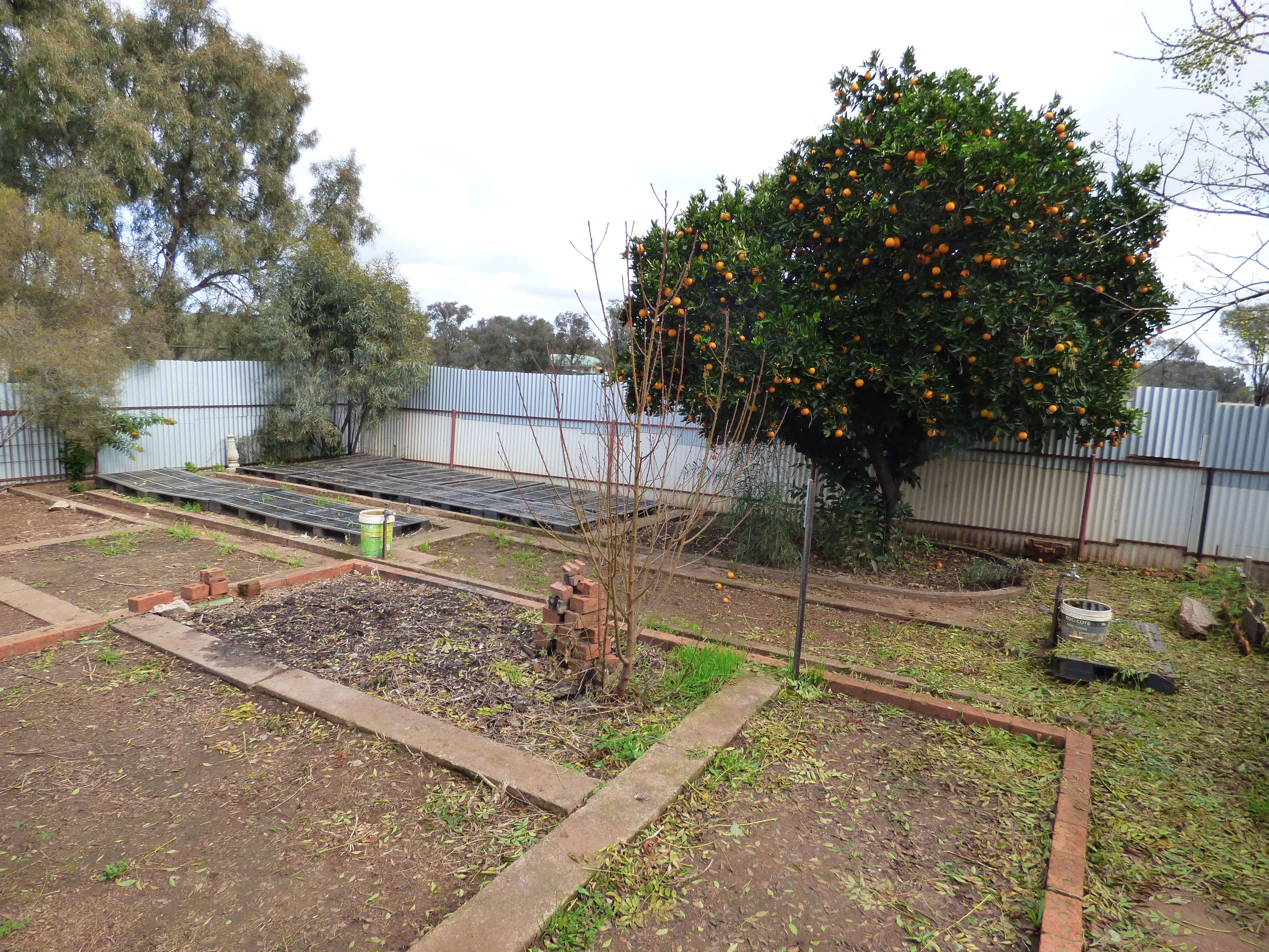 26 Belah Street, Forbes NSW 2871, Forbes - Thumbnail 8