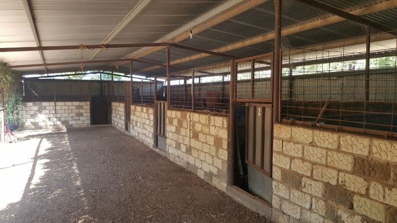 56 Oberon Street, Eugowra - Thumbnail 4