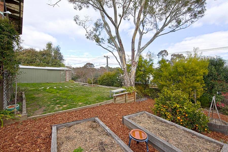 49 Folingsby Street, WESTON ACT 2611, Weston - Thumbnail 4